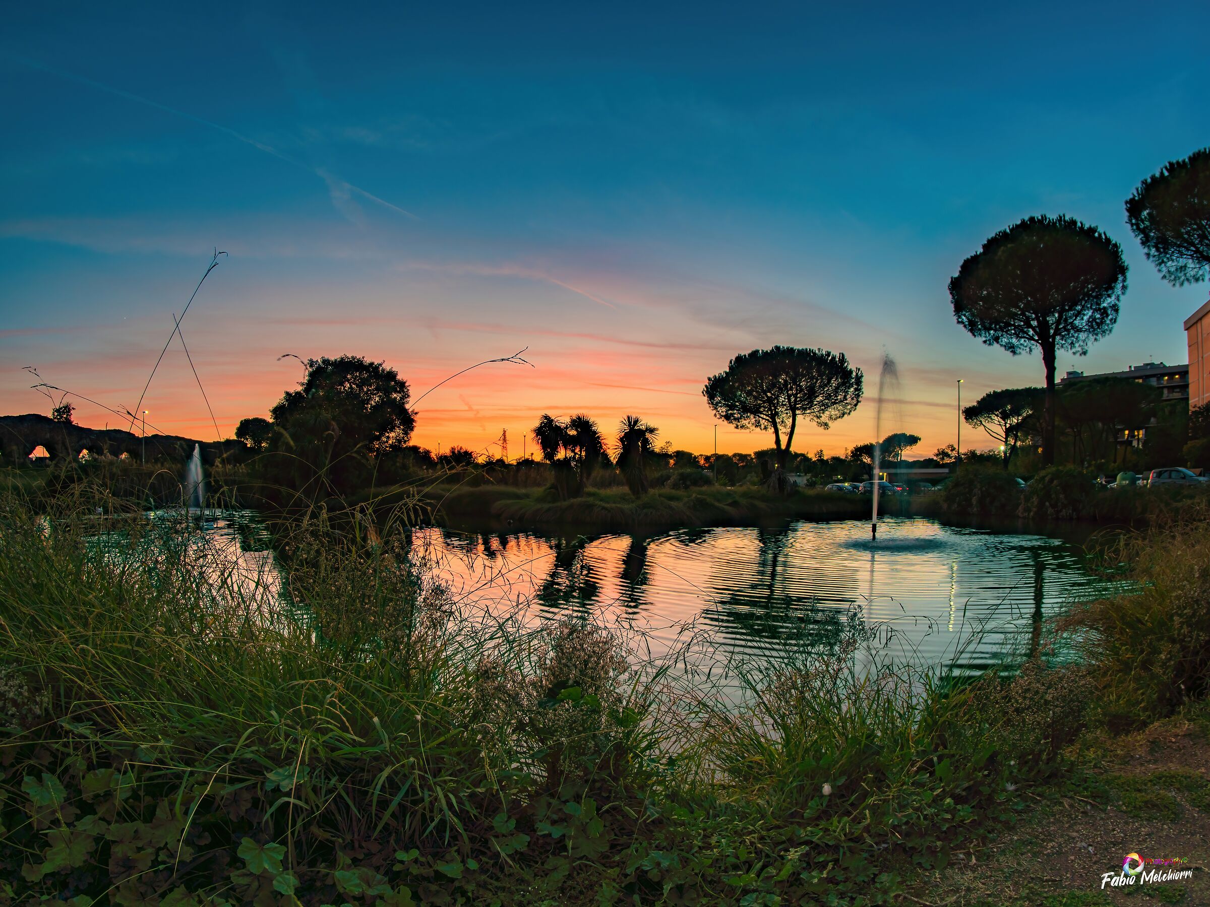 Sunset at the park 1