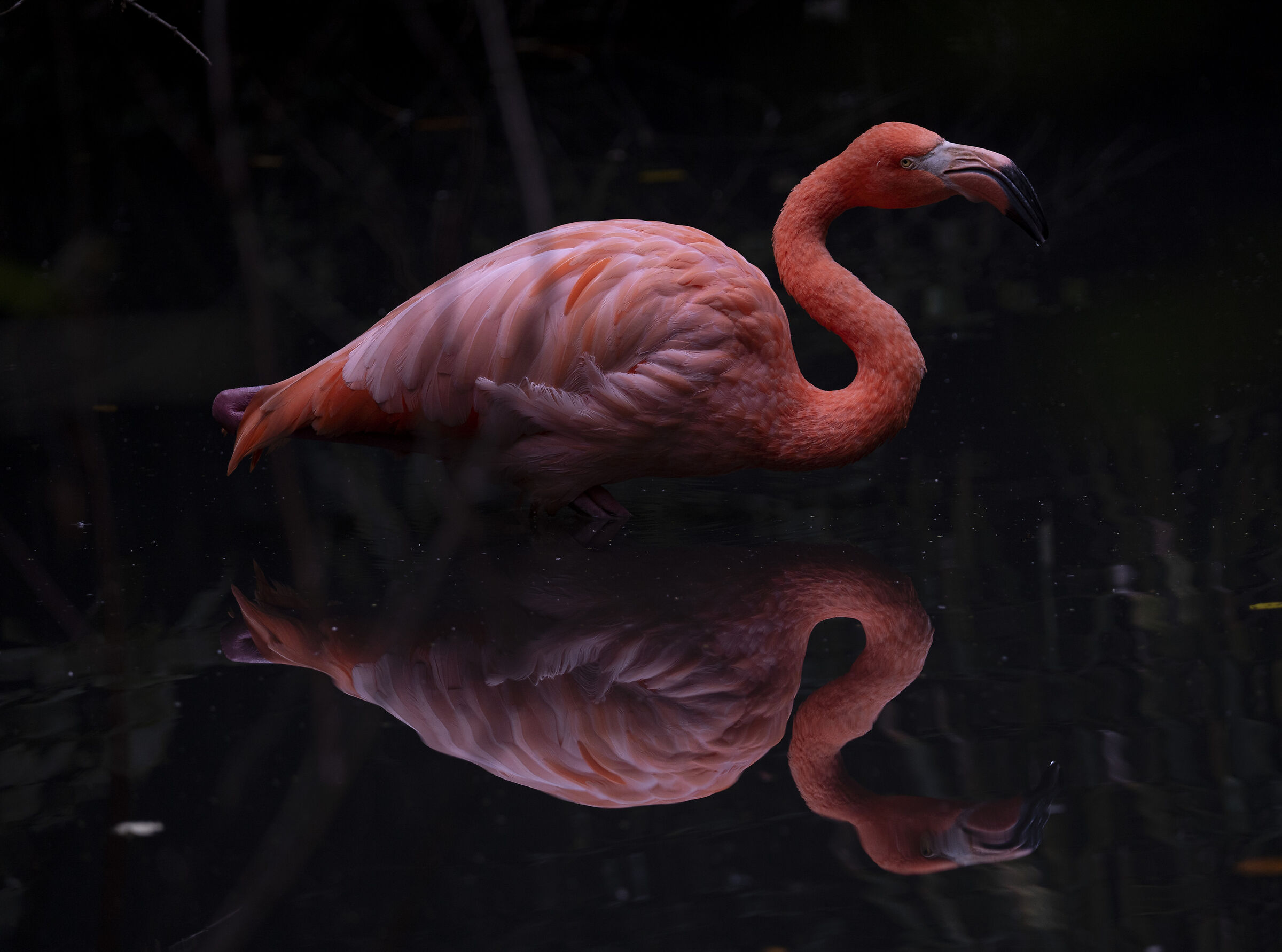 Curve, colori e riflessi