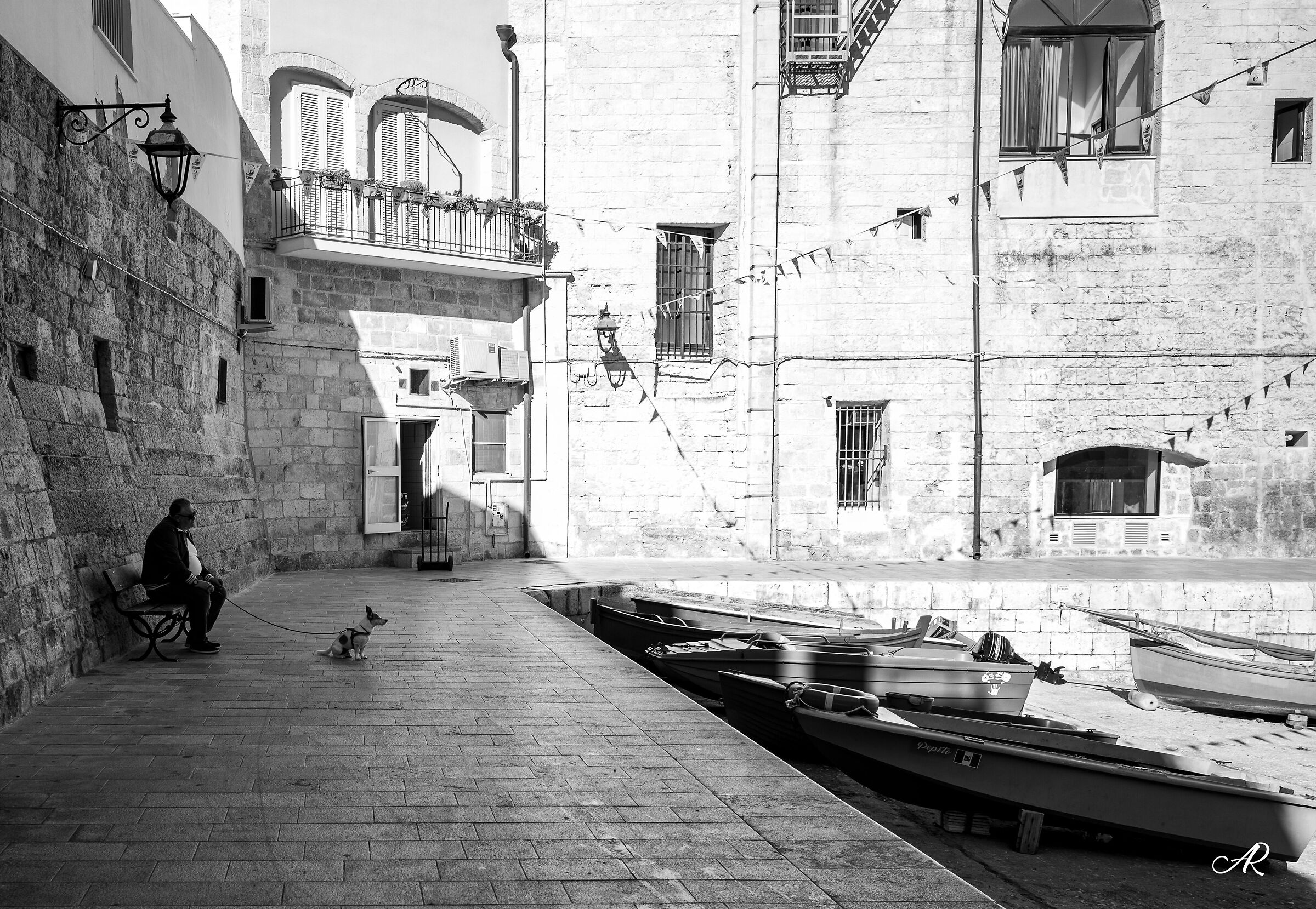 Il migliore amico dell'uomo