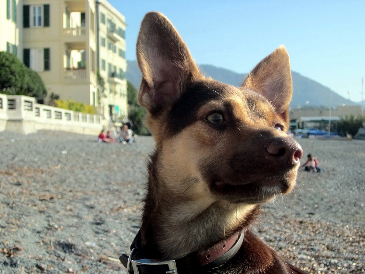 Wally a Vernazzola GE