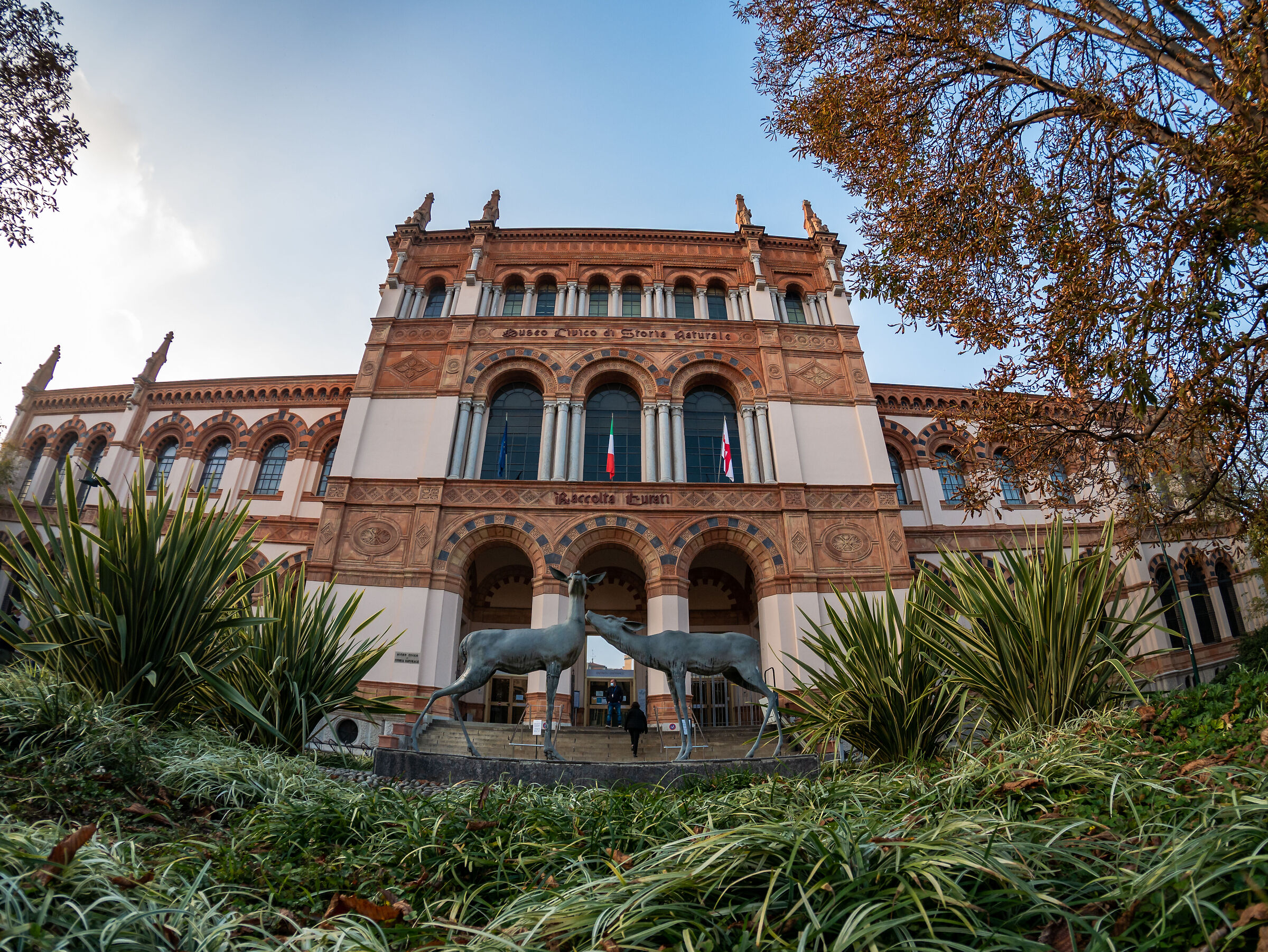Civic Museum of Natural History