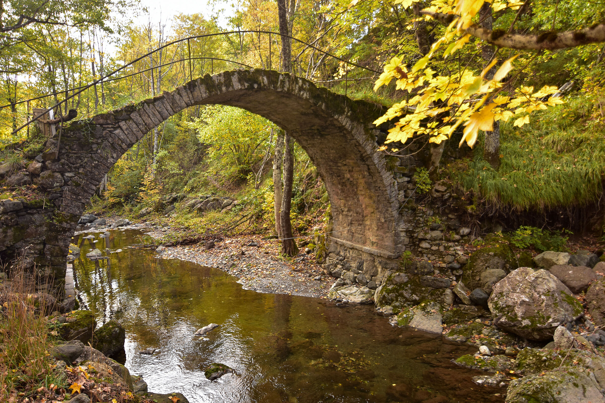 Ponte medioevale sul Pescia