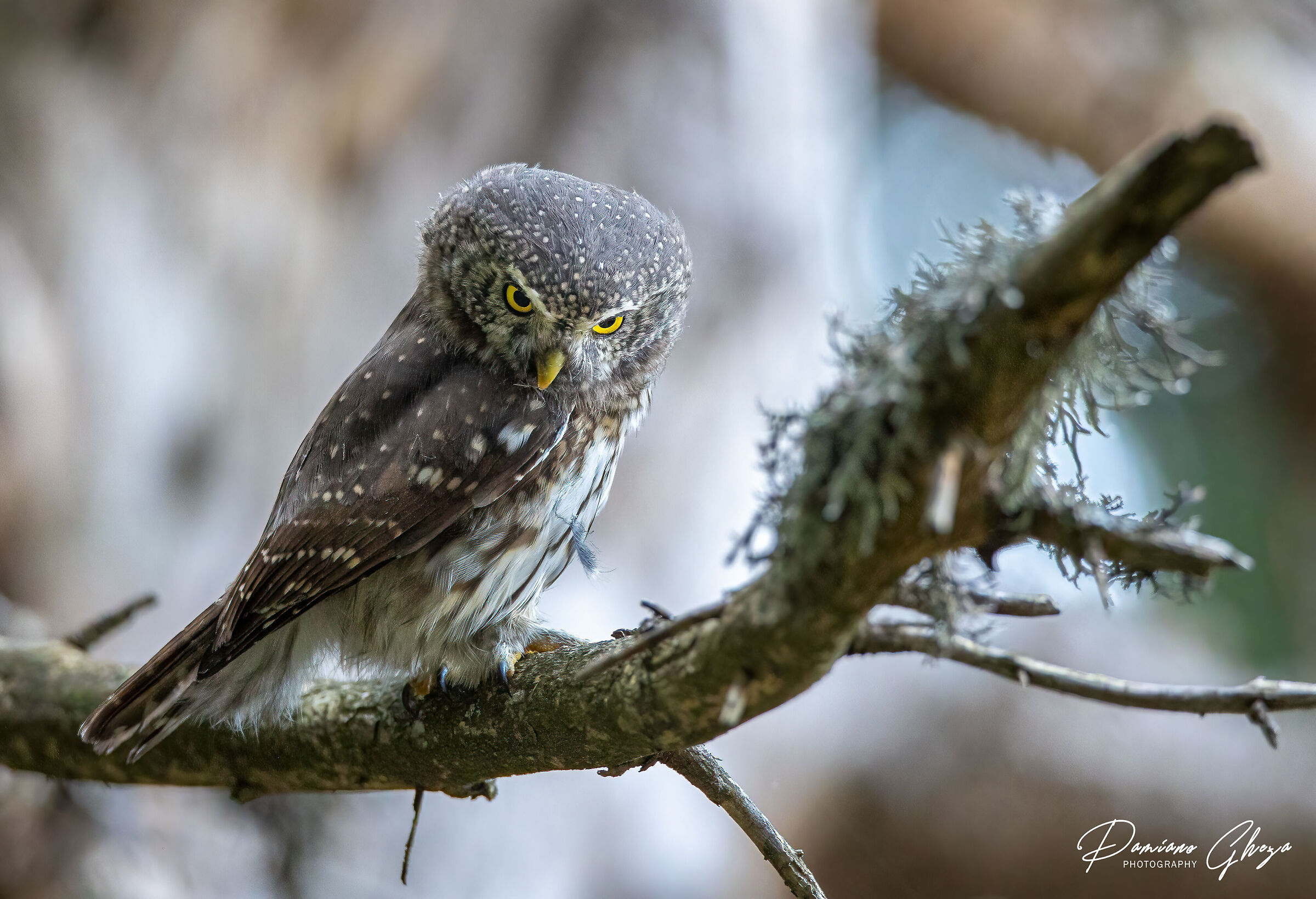 Ti ho detto di lasciarmi stare