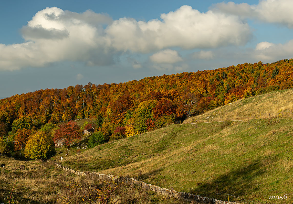 mountain huts in Lessinia