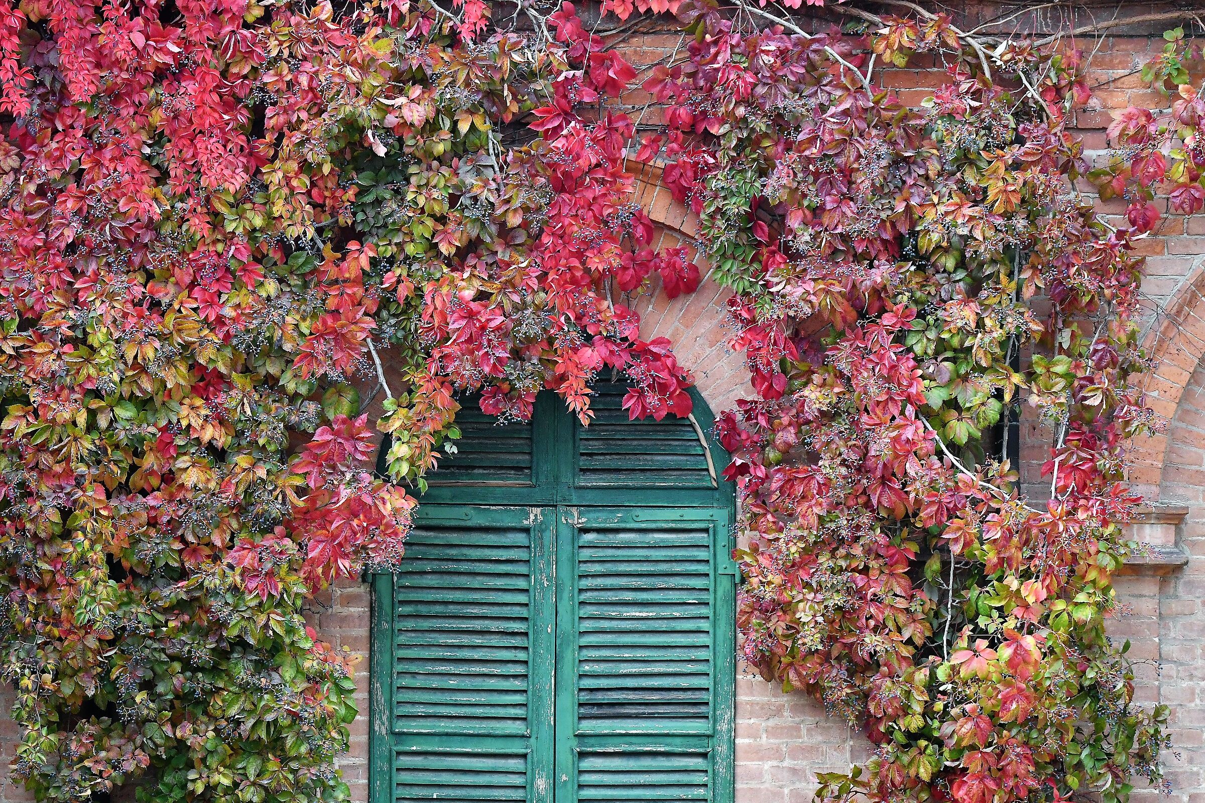 Colors