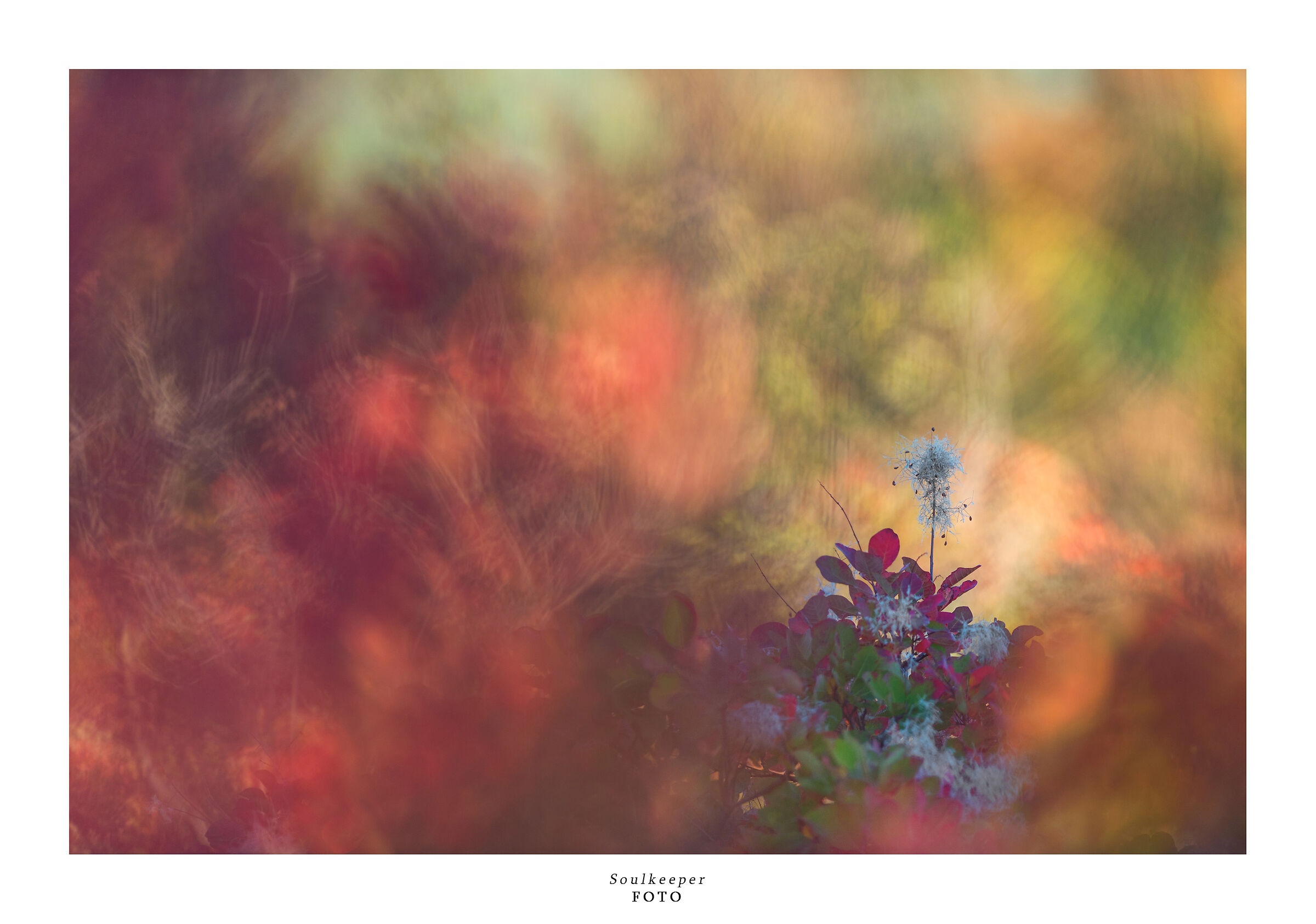 The thousand colors of the Karst.