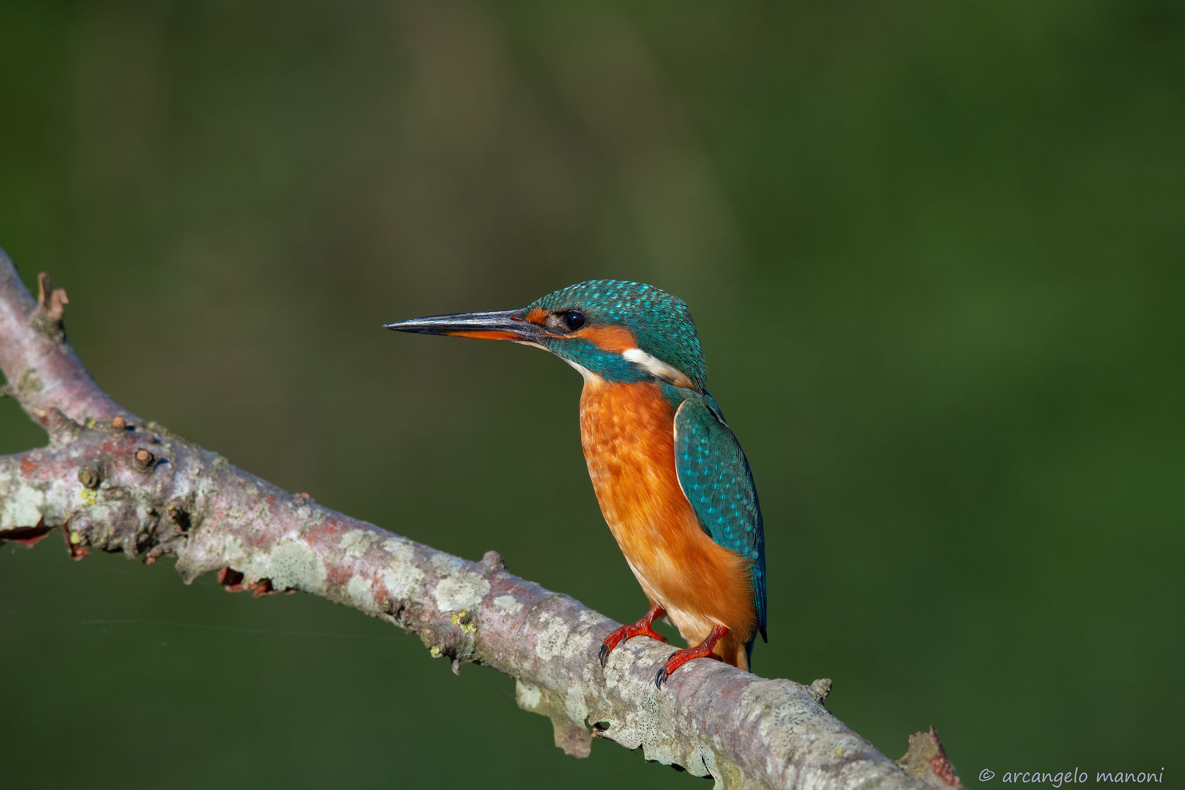 My friend martina dressed again after the wetsuit