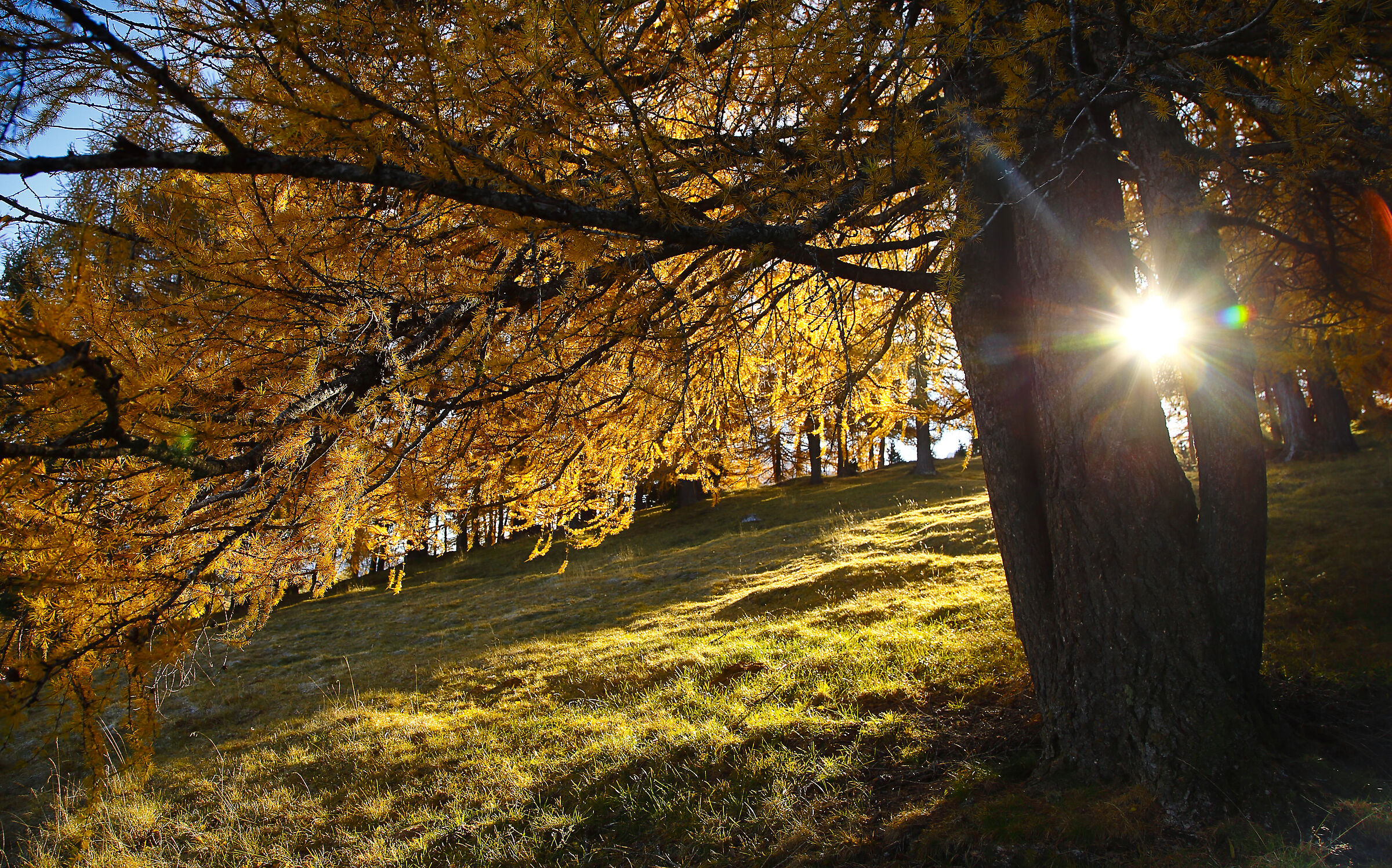 e' arrivato l'autunno