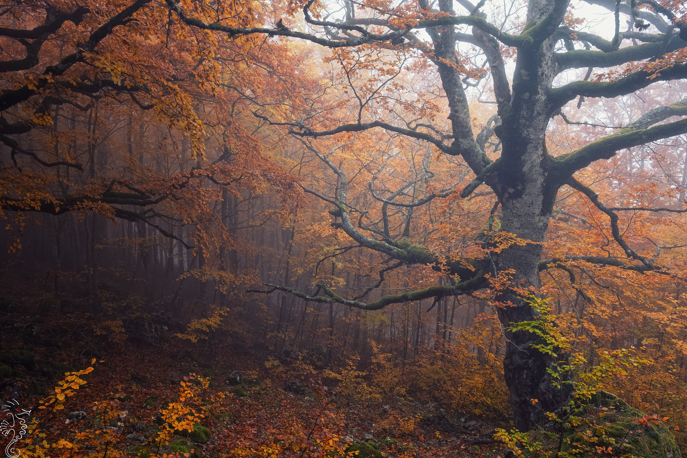 Autumn in Prati di Tivo