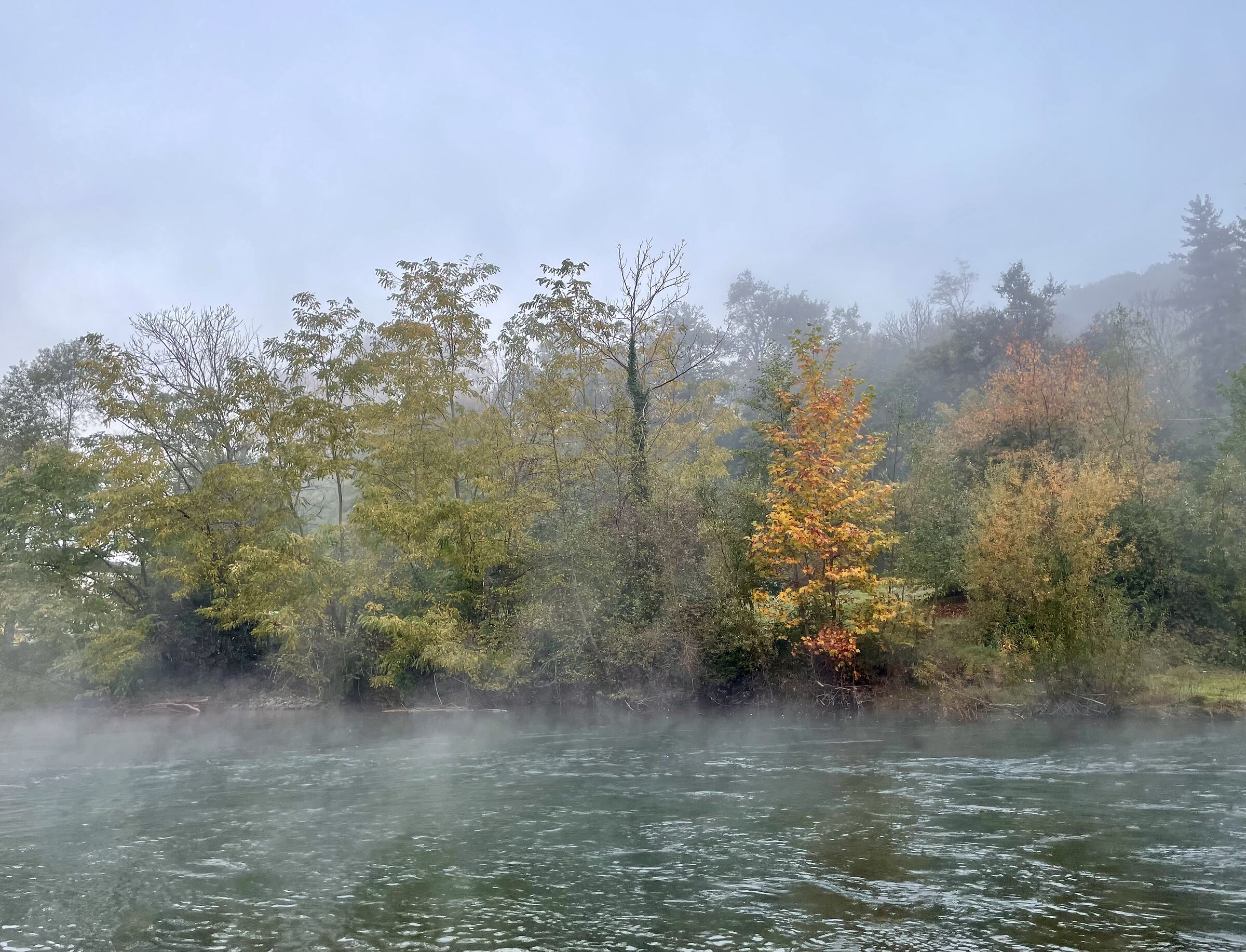 Autunno sul fiume Tresa.