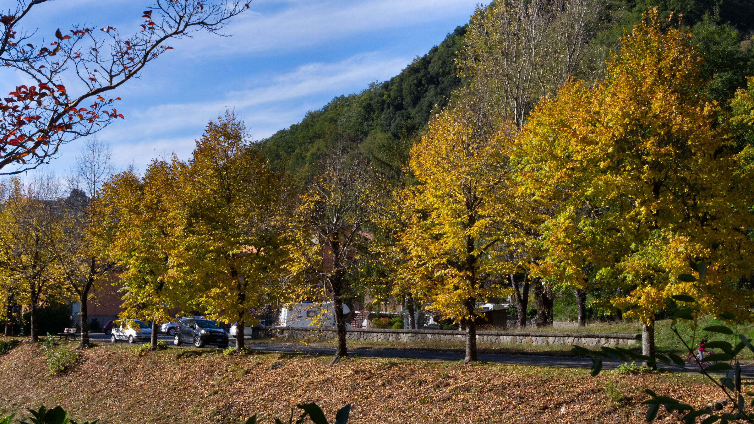 Colori d'autunno