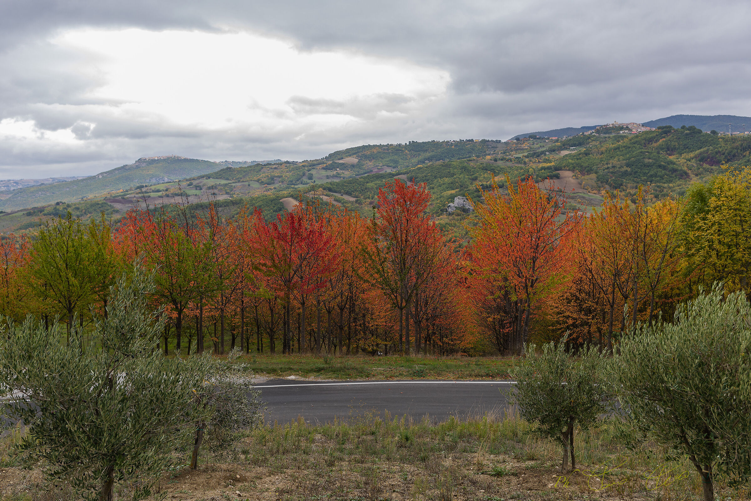 Colori d'autunno