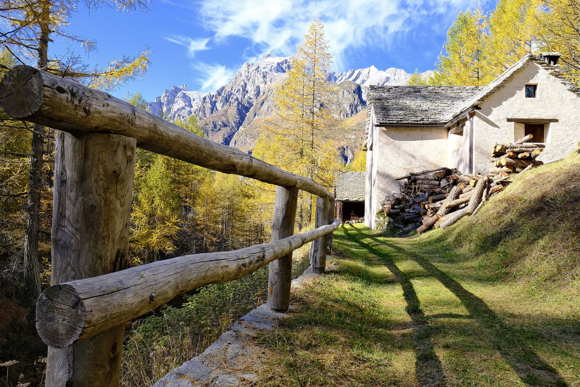 I colori dell'autunno