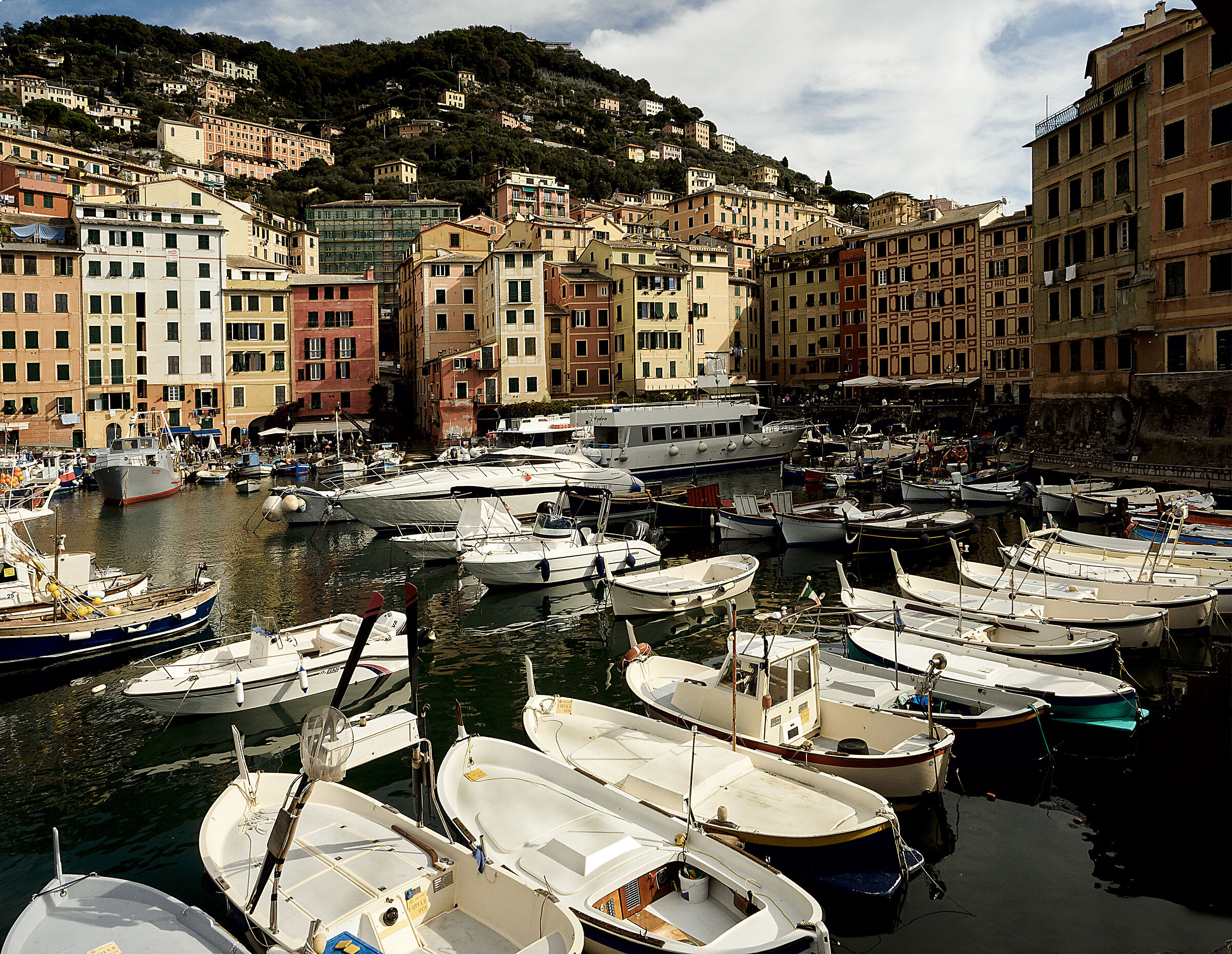 Camogli - Panorama postcard