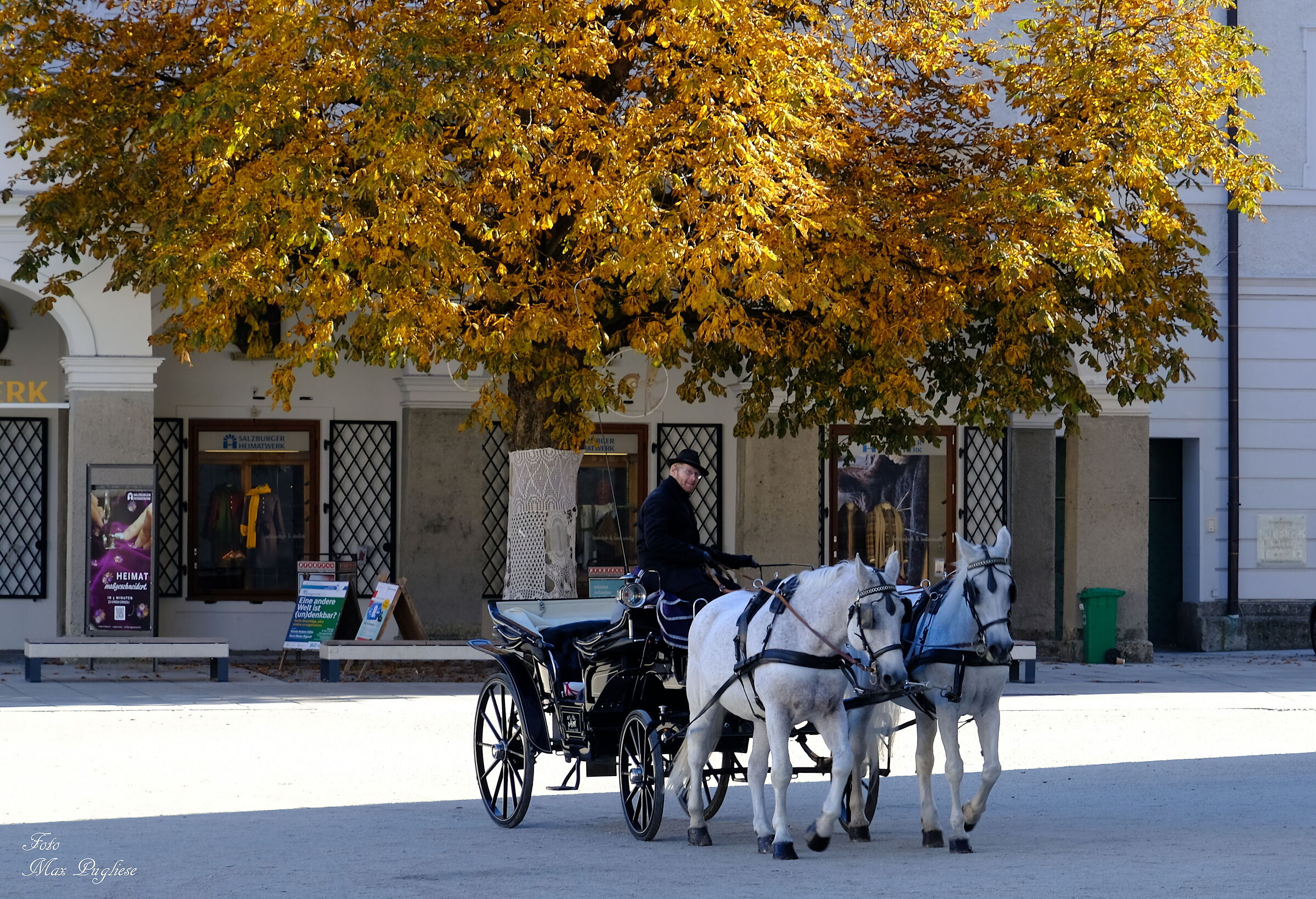 Carrozza
