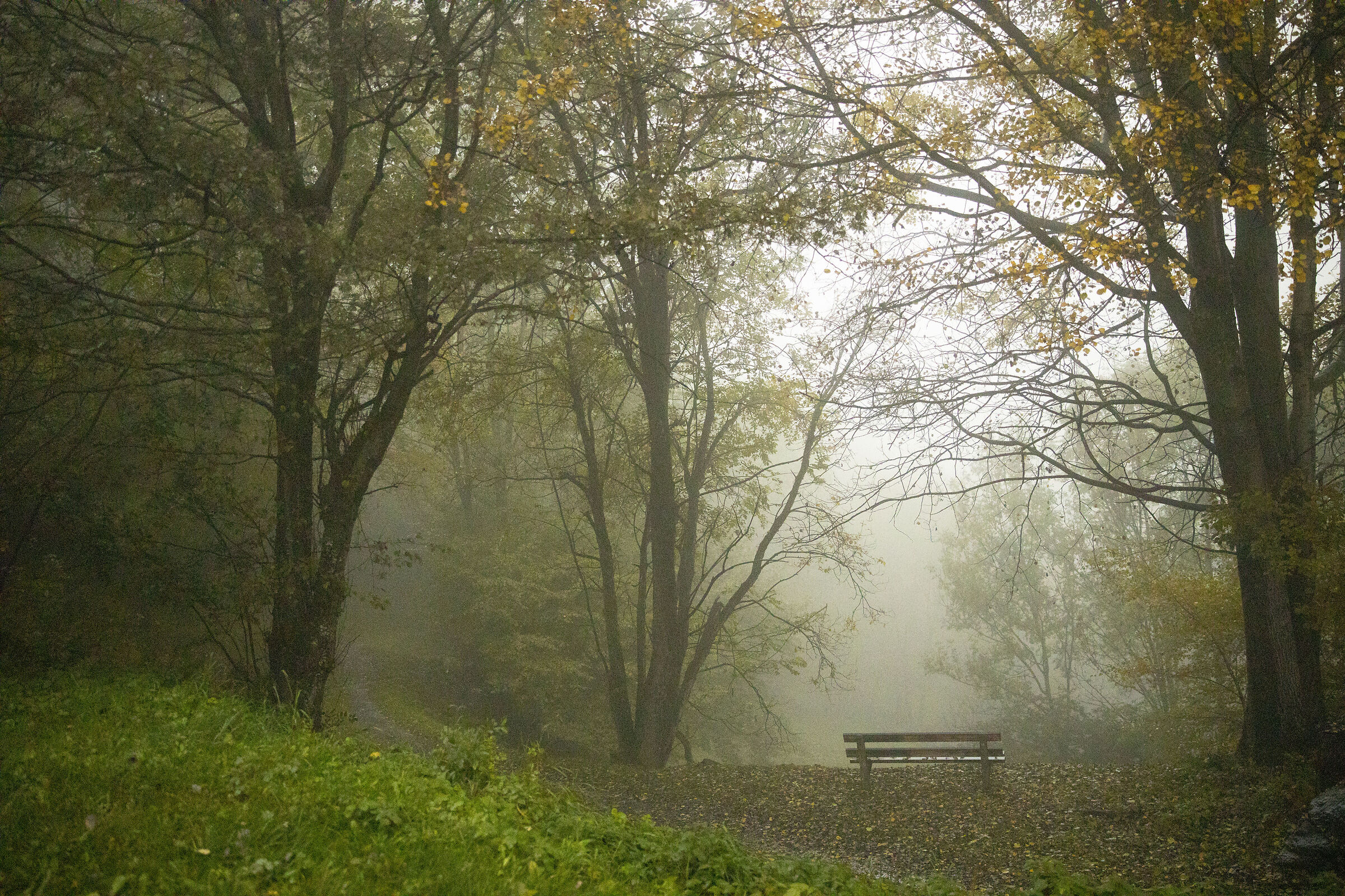 Fog in the mountains