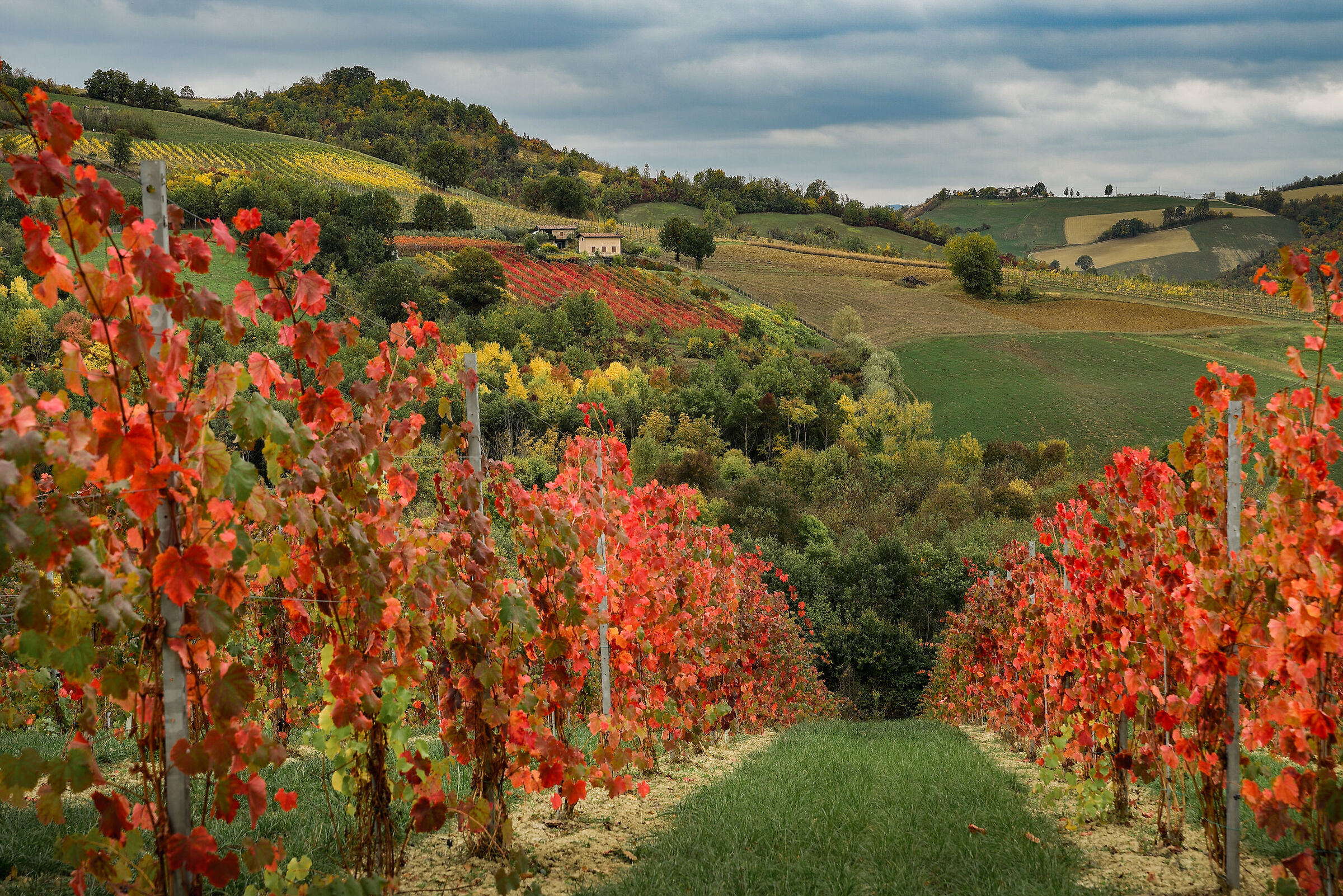 L'autunno si tinge di rosso