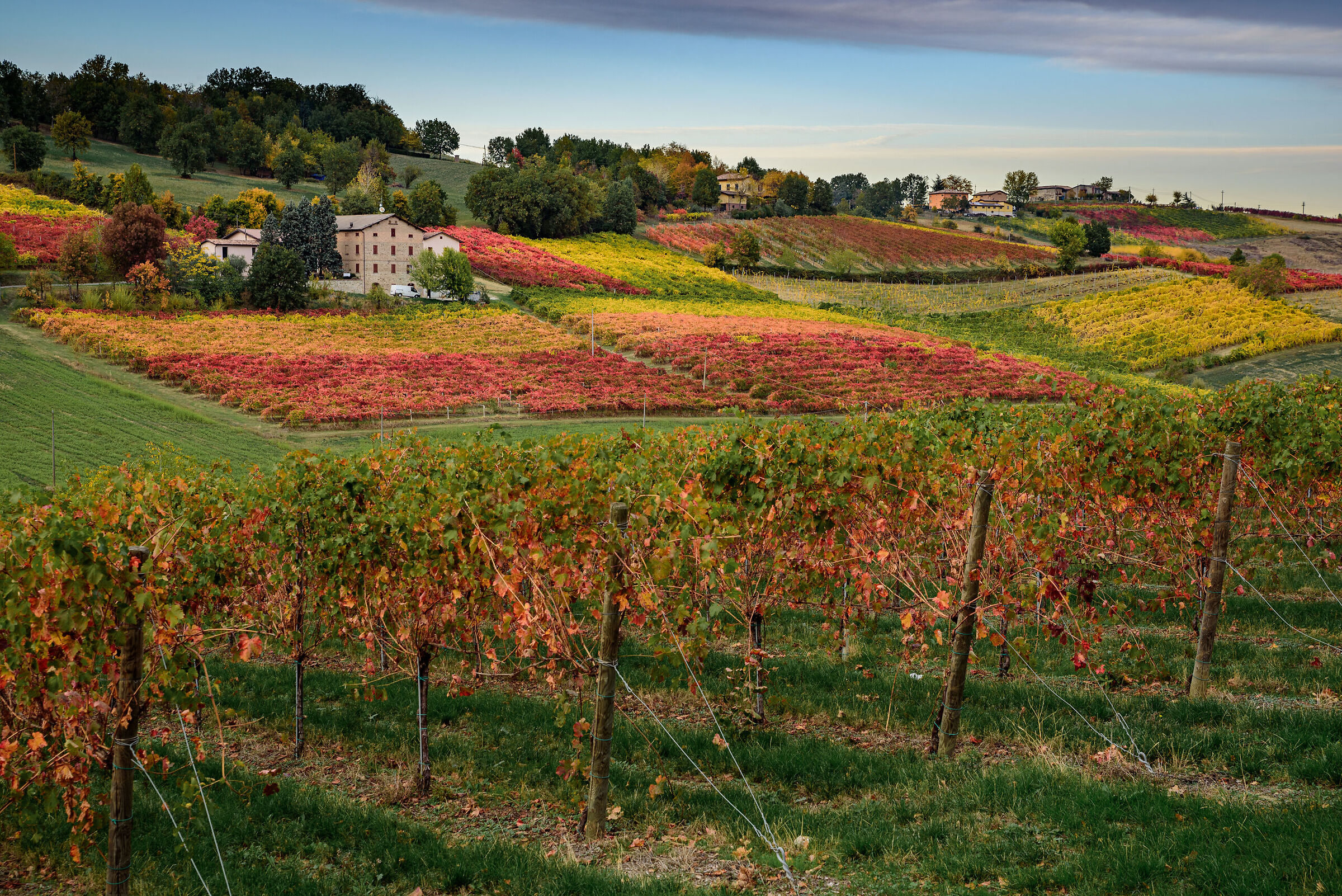 Autunno sui colli modenesi