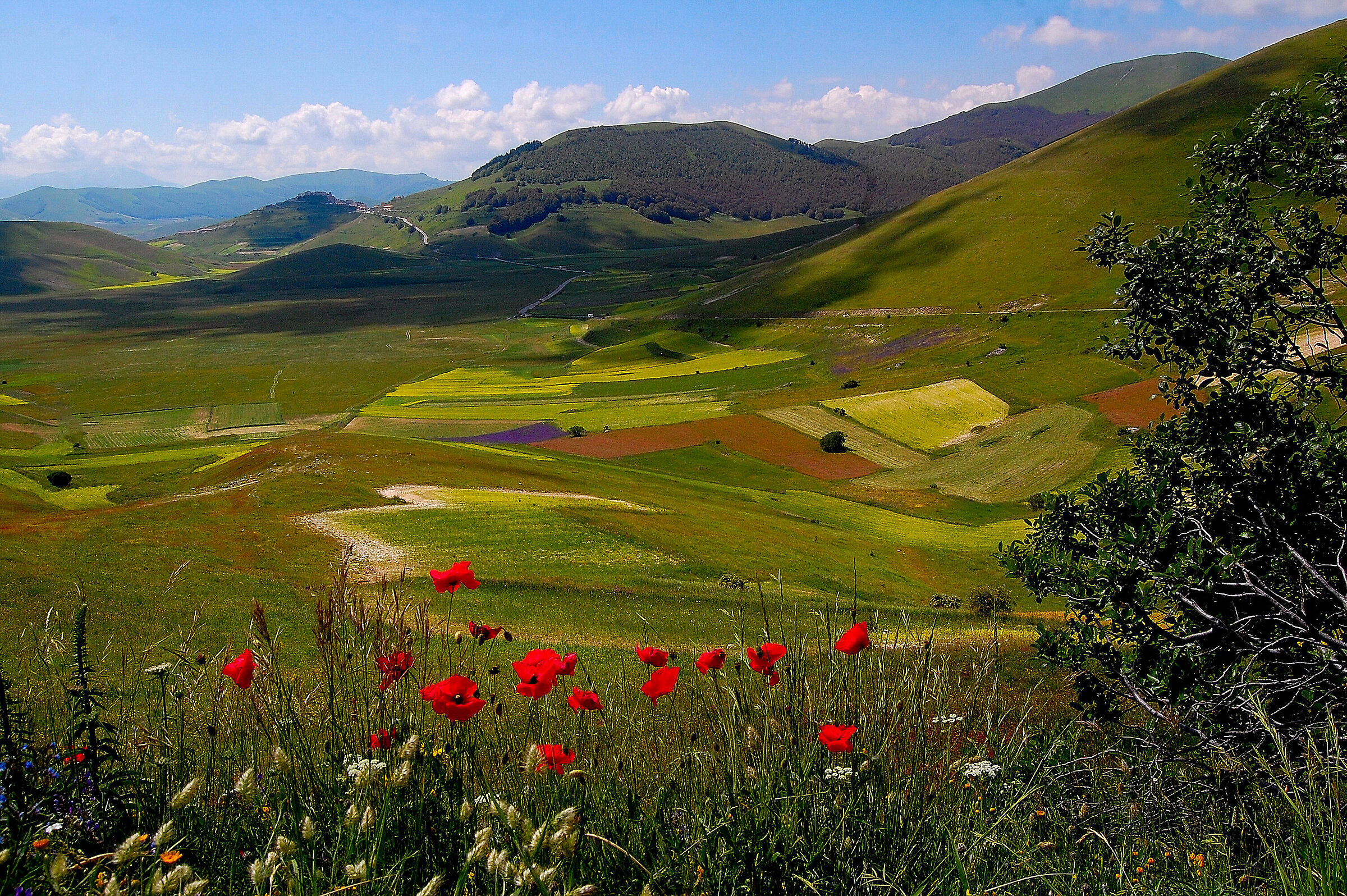 Last colors at Pian Perduto in Castelluccio