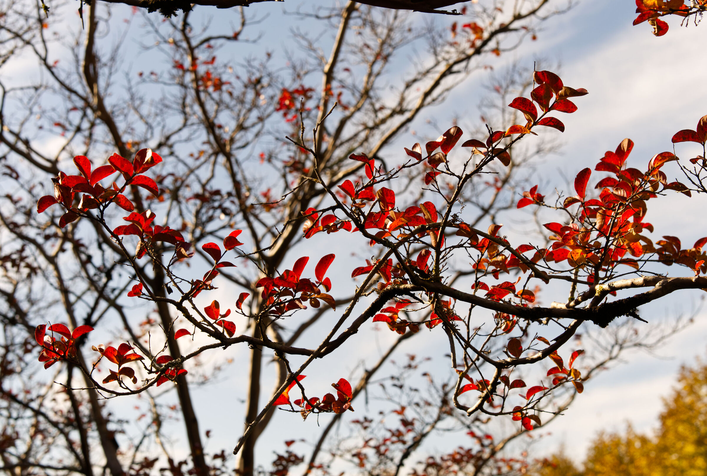 Untitled Photo