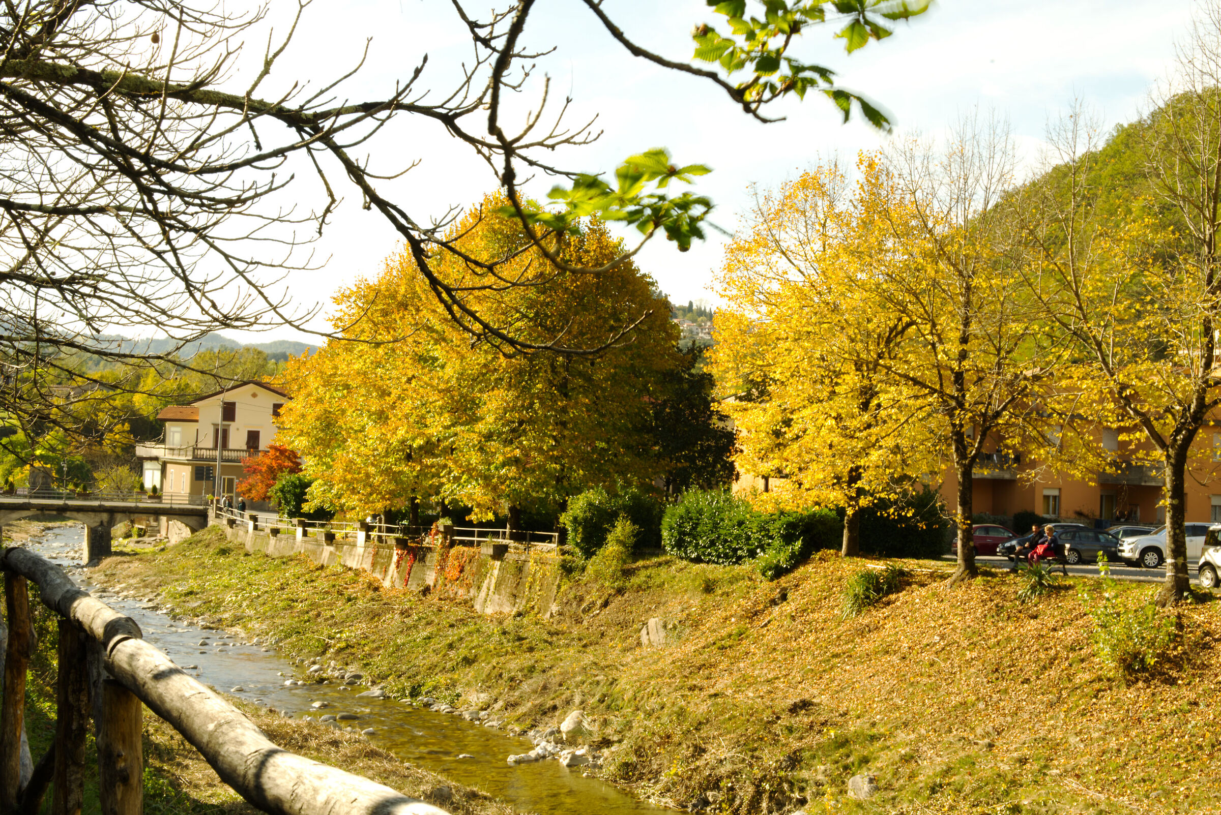 Untitled Photo