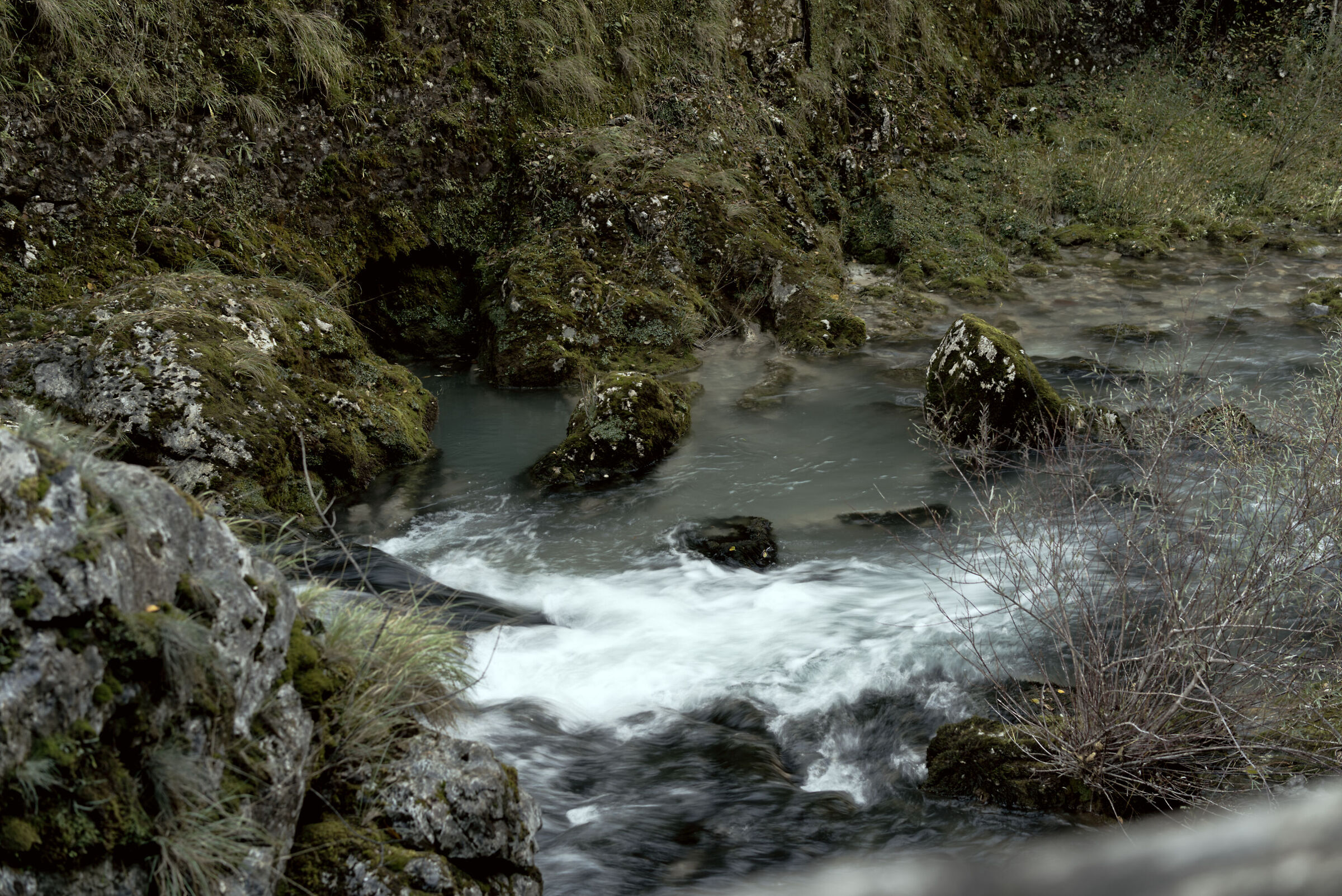Untitled Photo