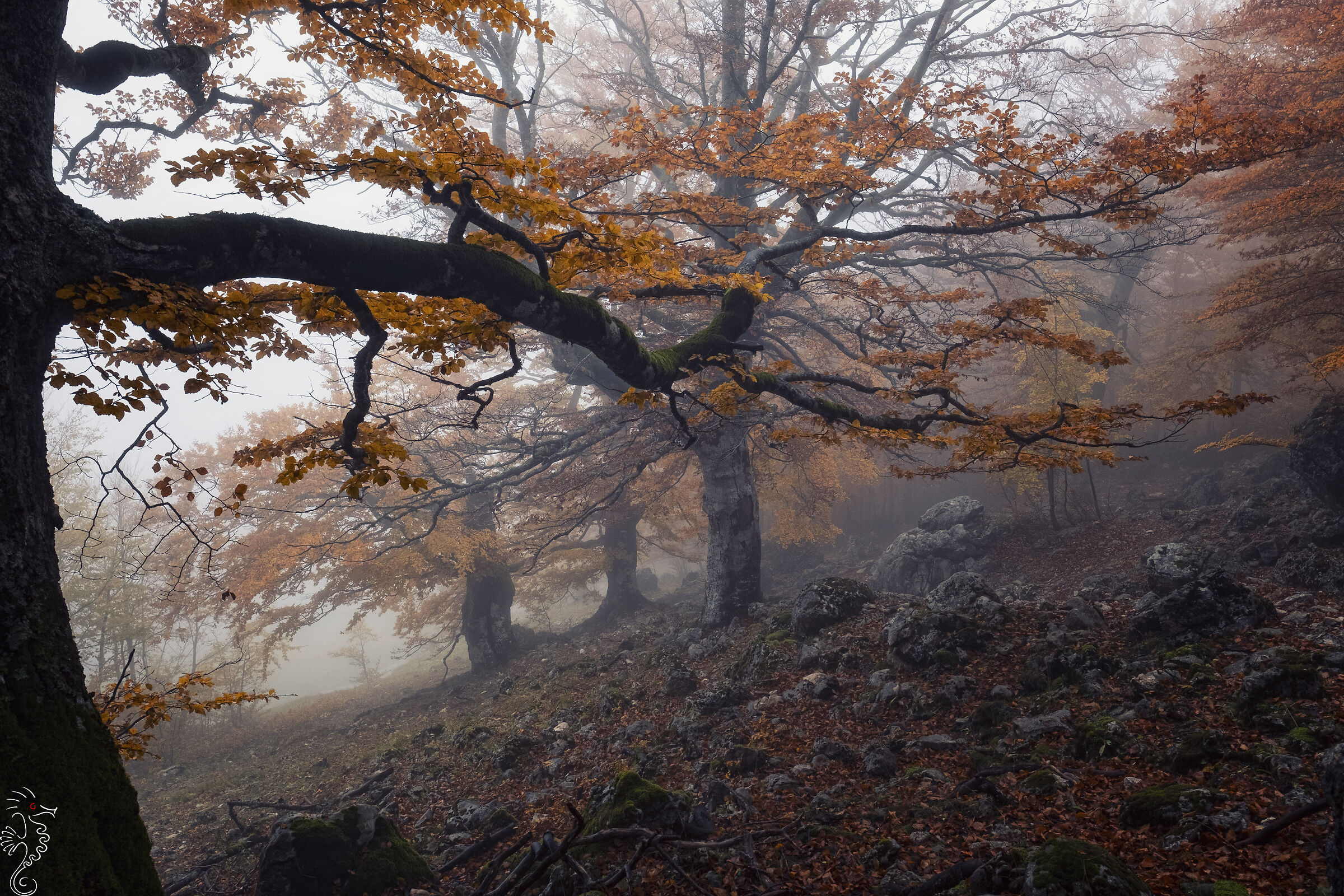 Autunno a Prati di Tivo 2