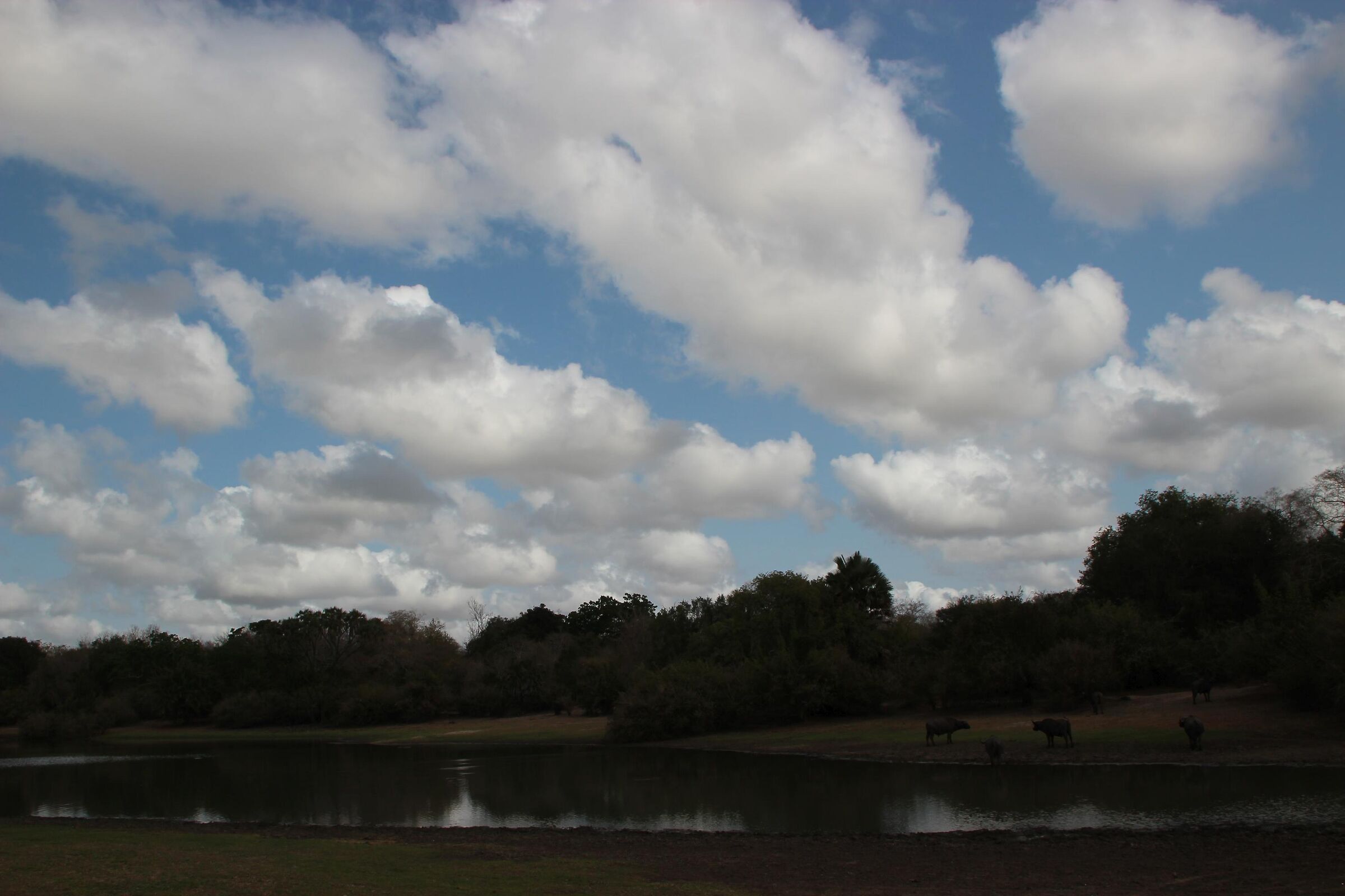 Clouds on the horizon