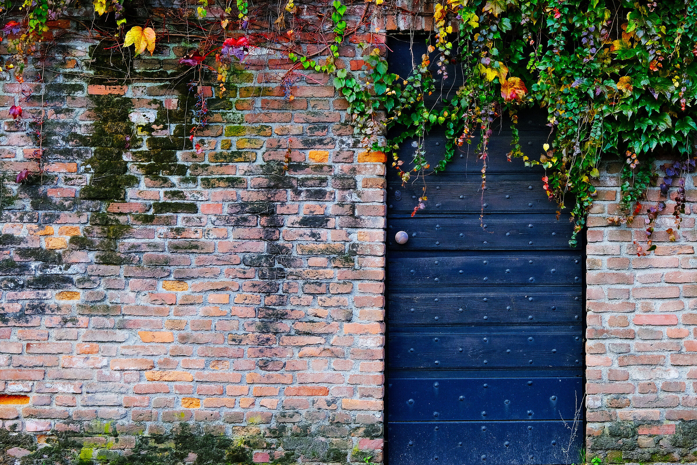La porta sul giardino