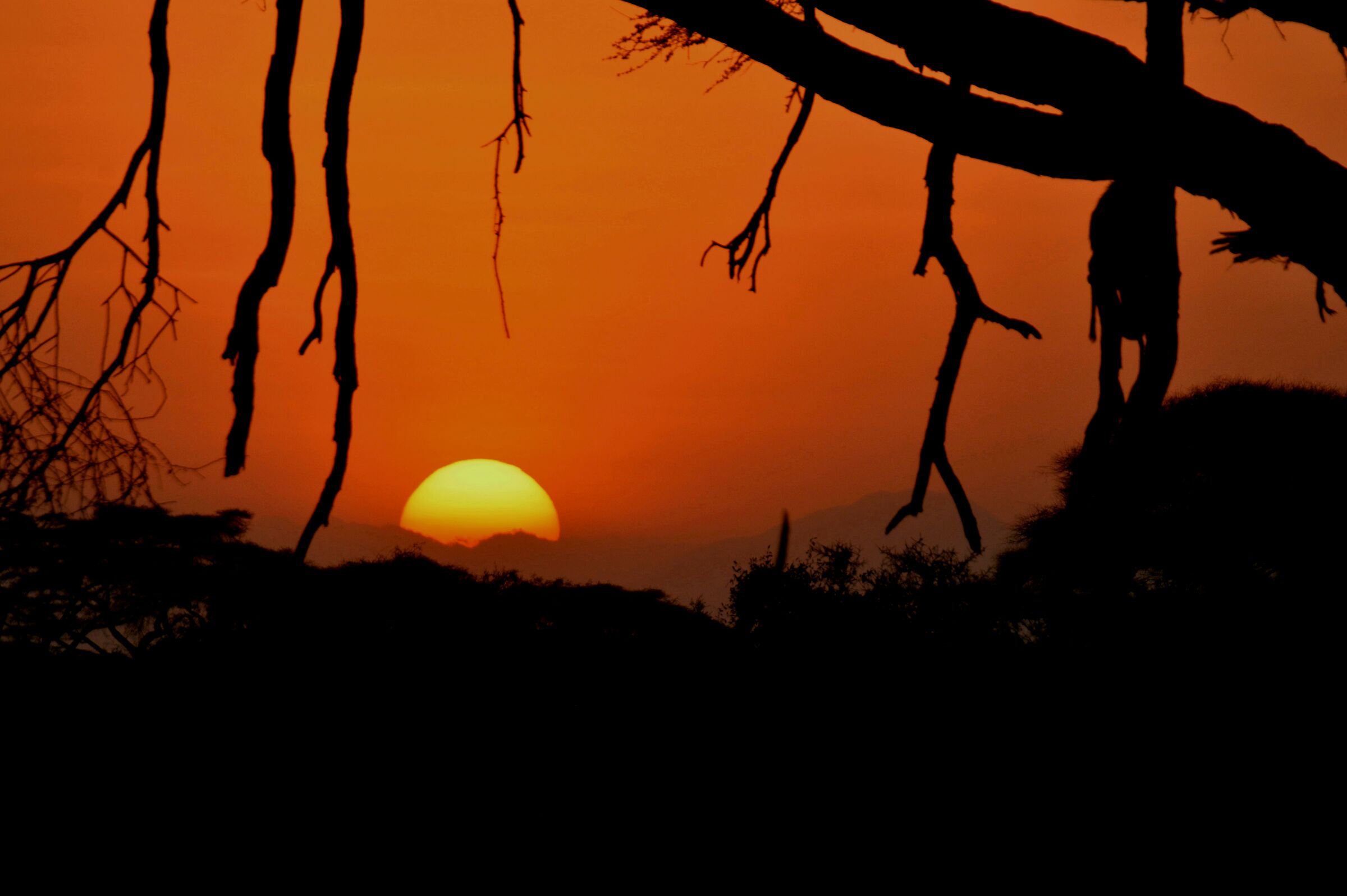 African Sunsets