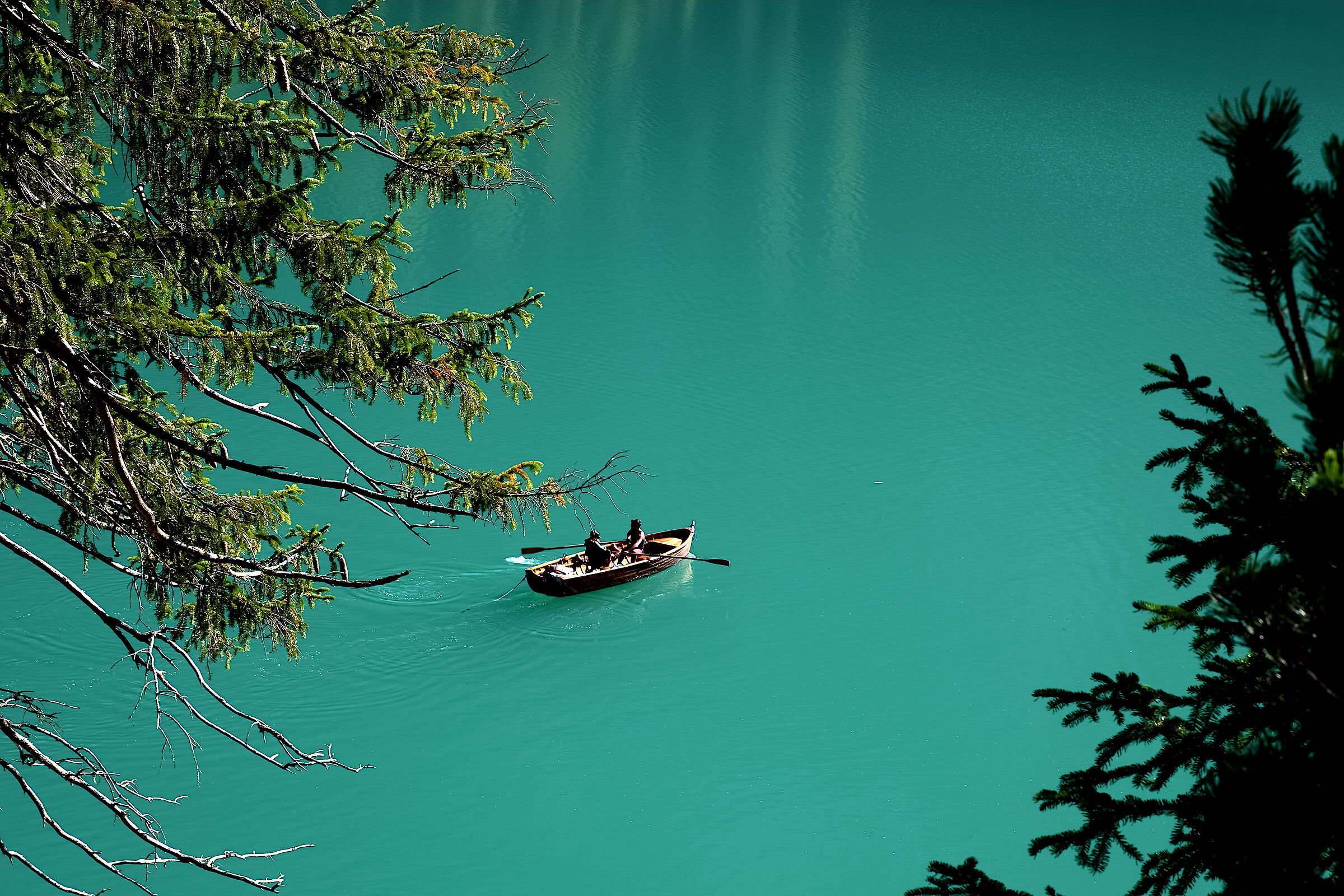 Nel verde del Lago di Braies