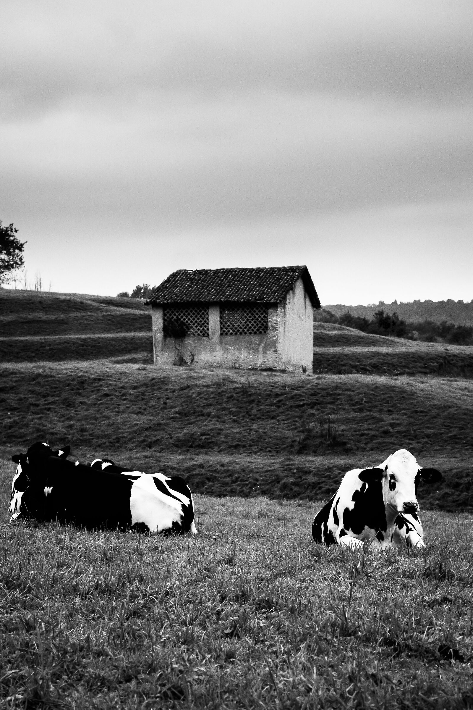 Discutere..resta sempre uguale