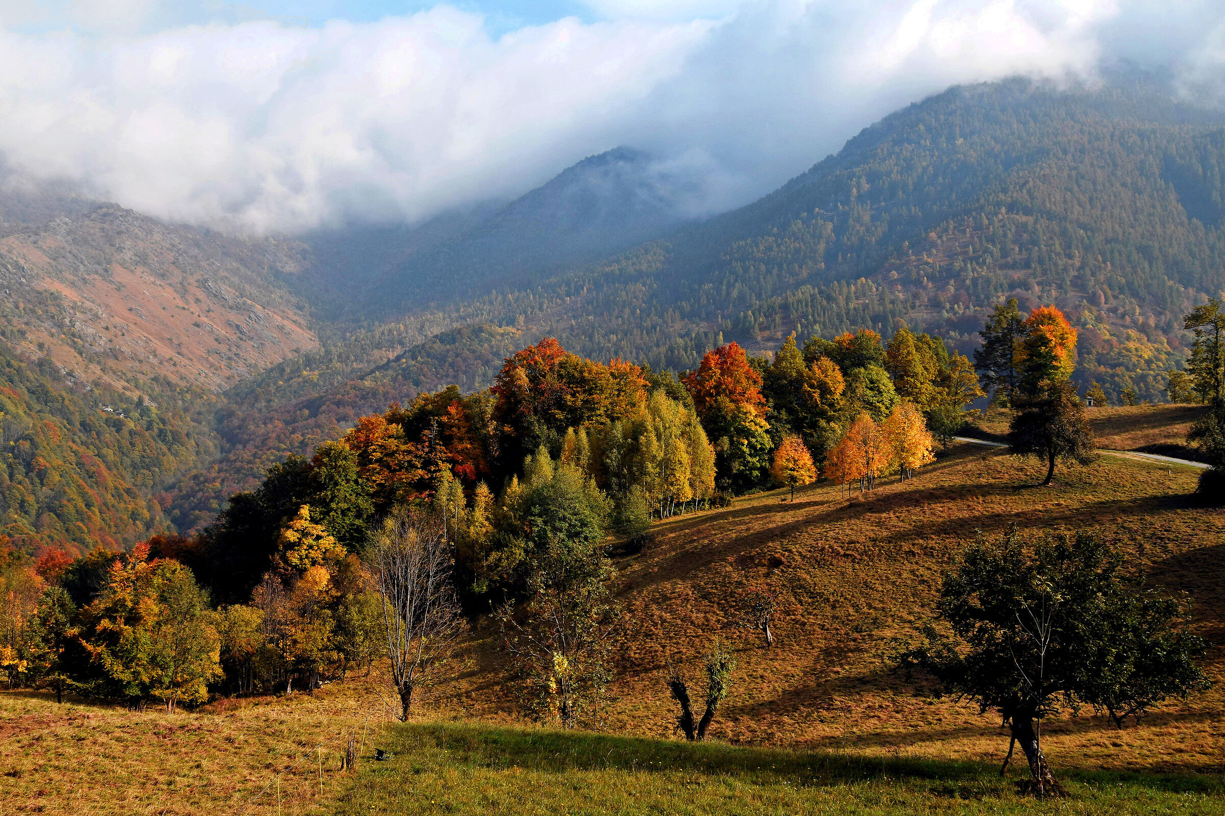 autumn in the valleys of lanzo