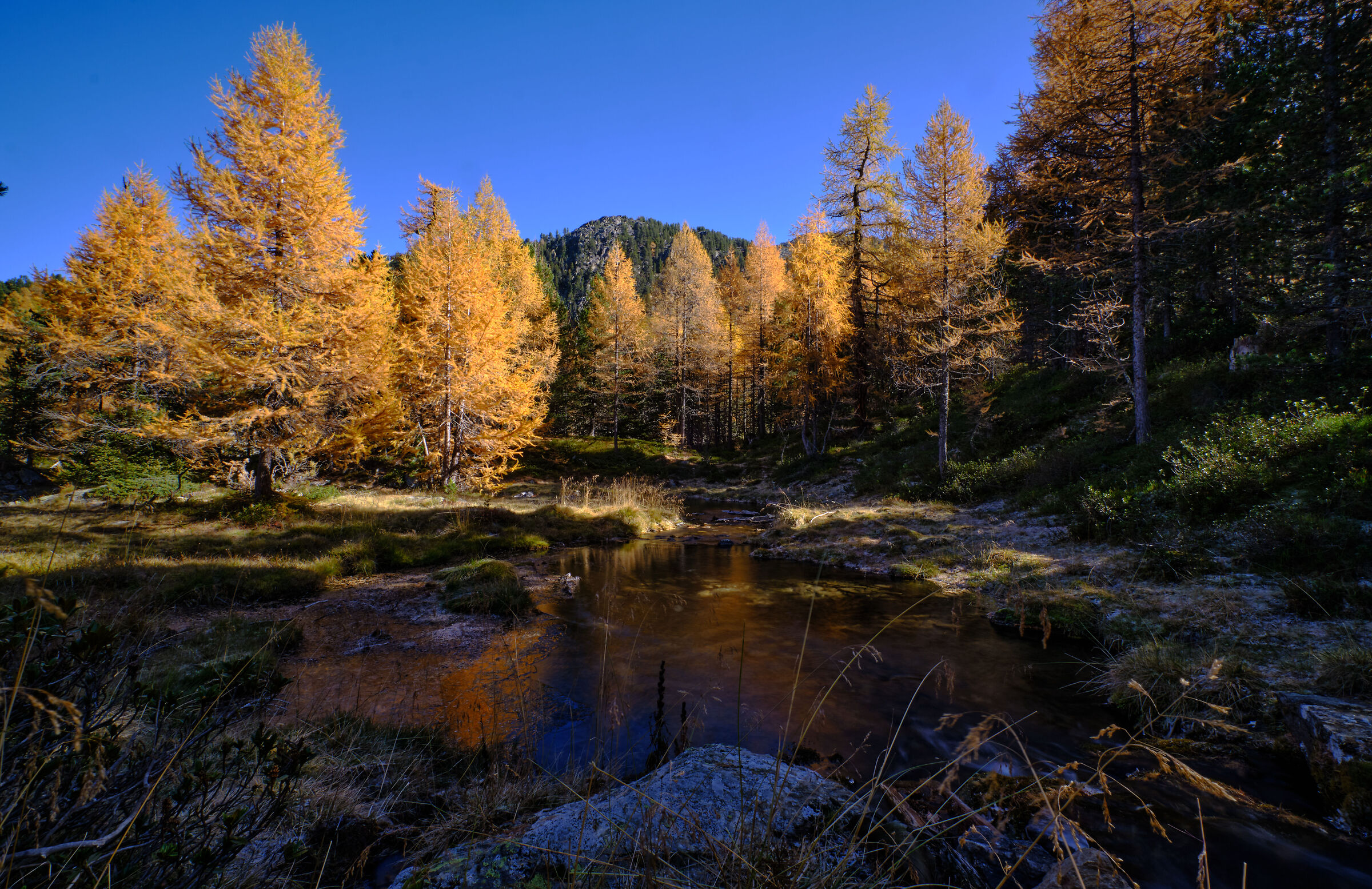 autunno in montagna