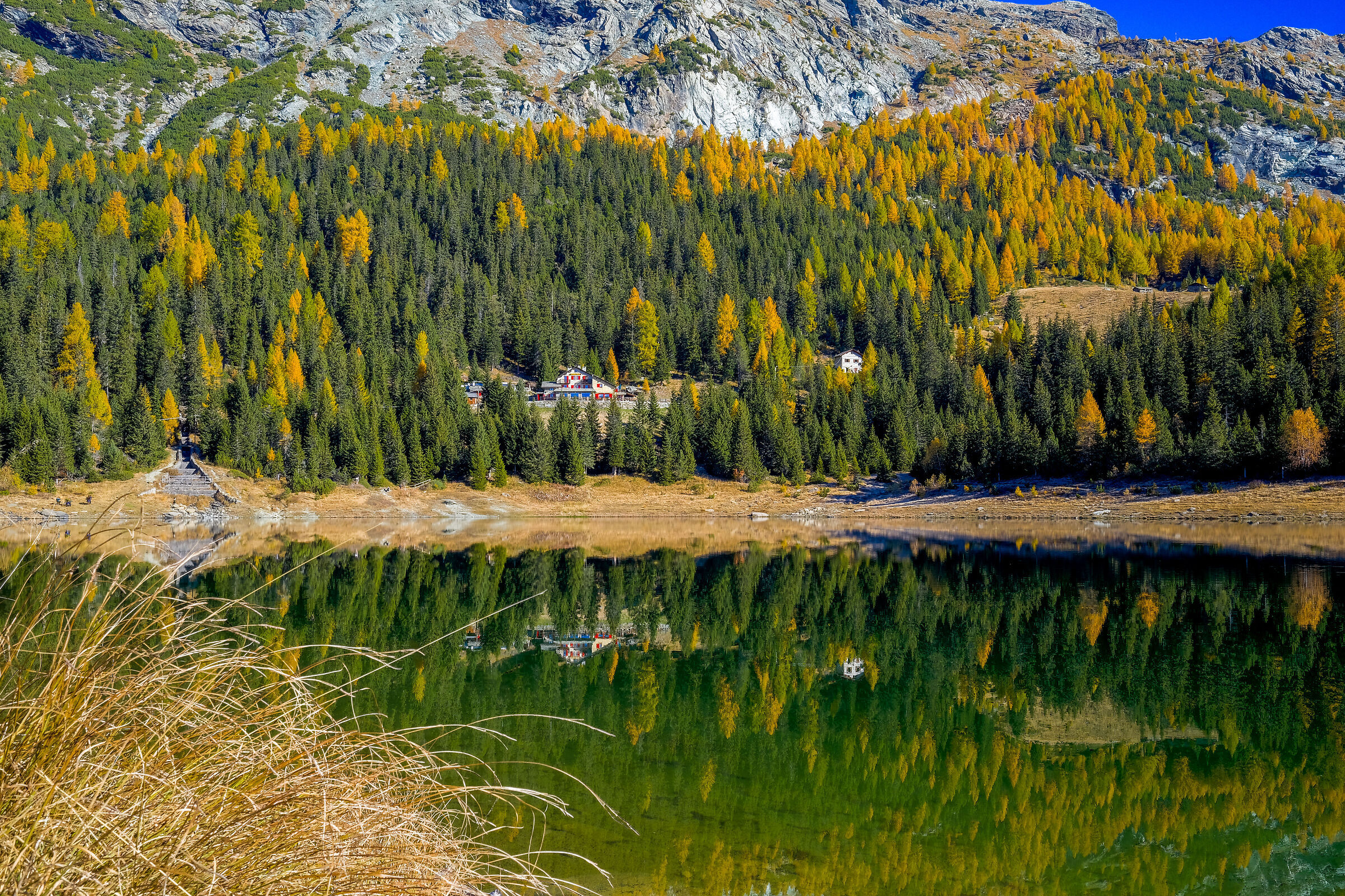 Lago palù