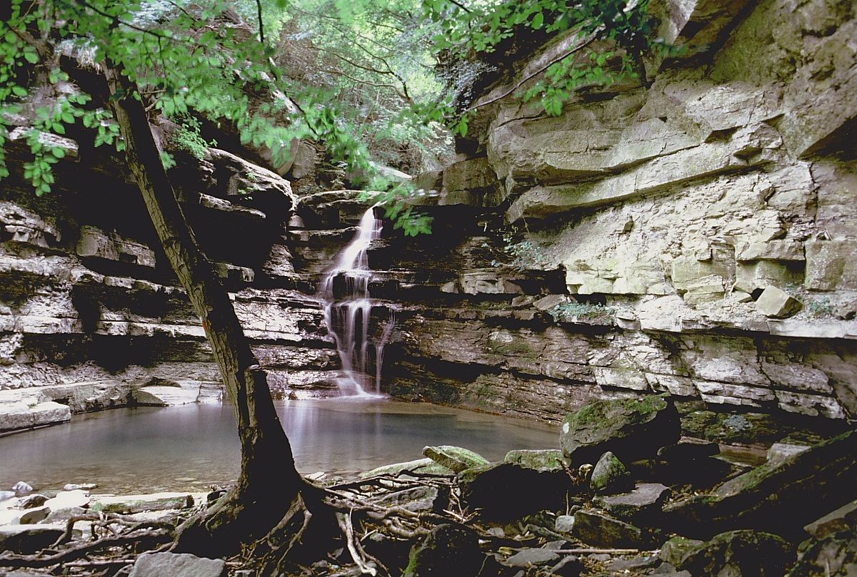 Stream Veccione (Alto Mugello) Summer 1992