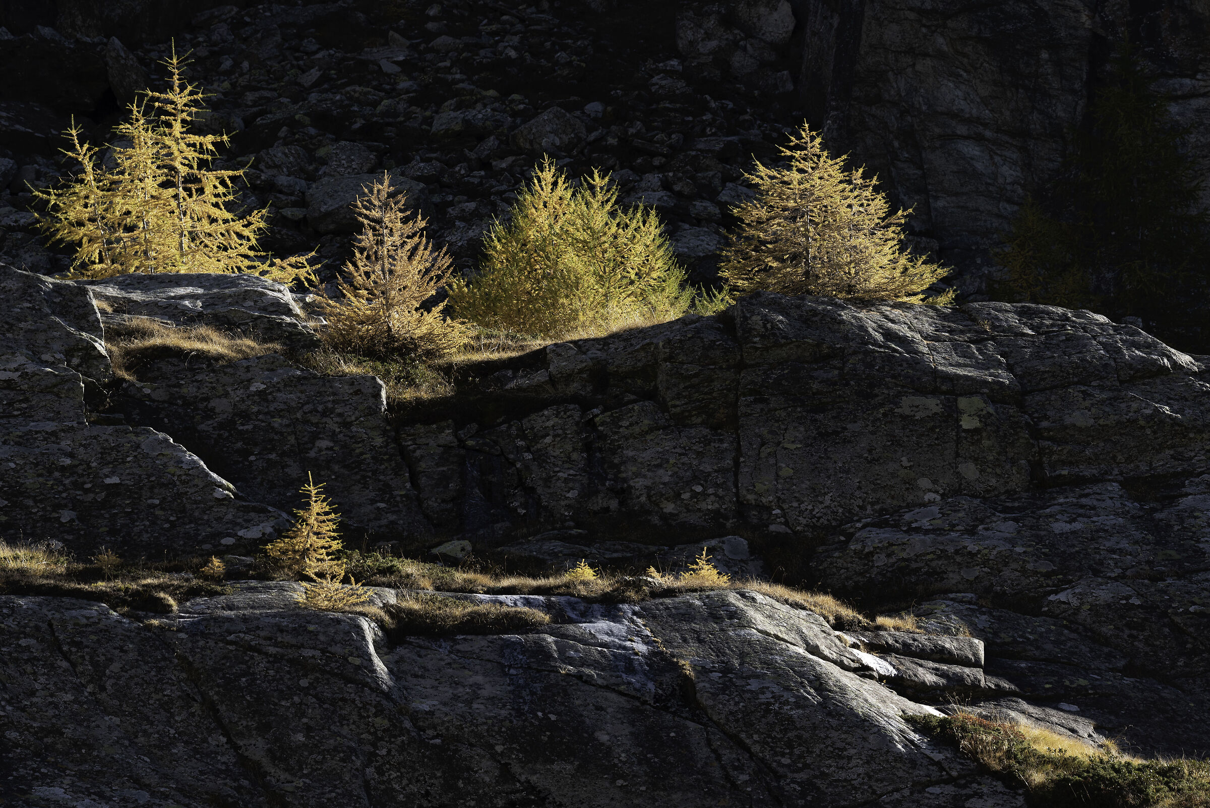 Lights and shadows in Val Malenco