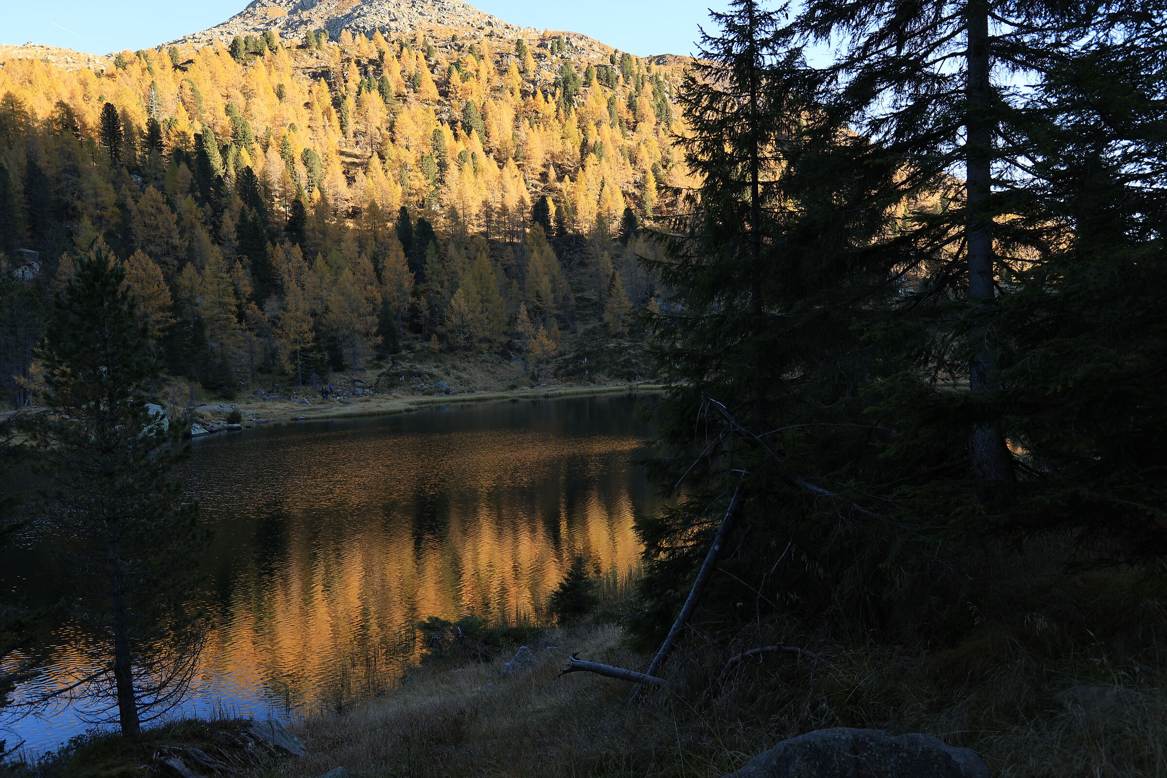 Autunno