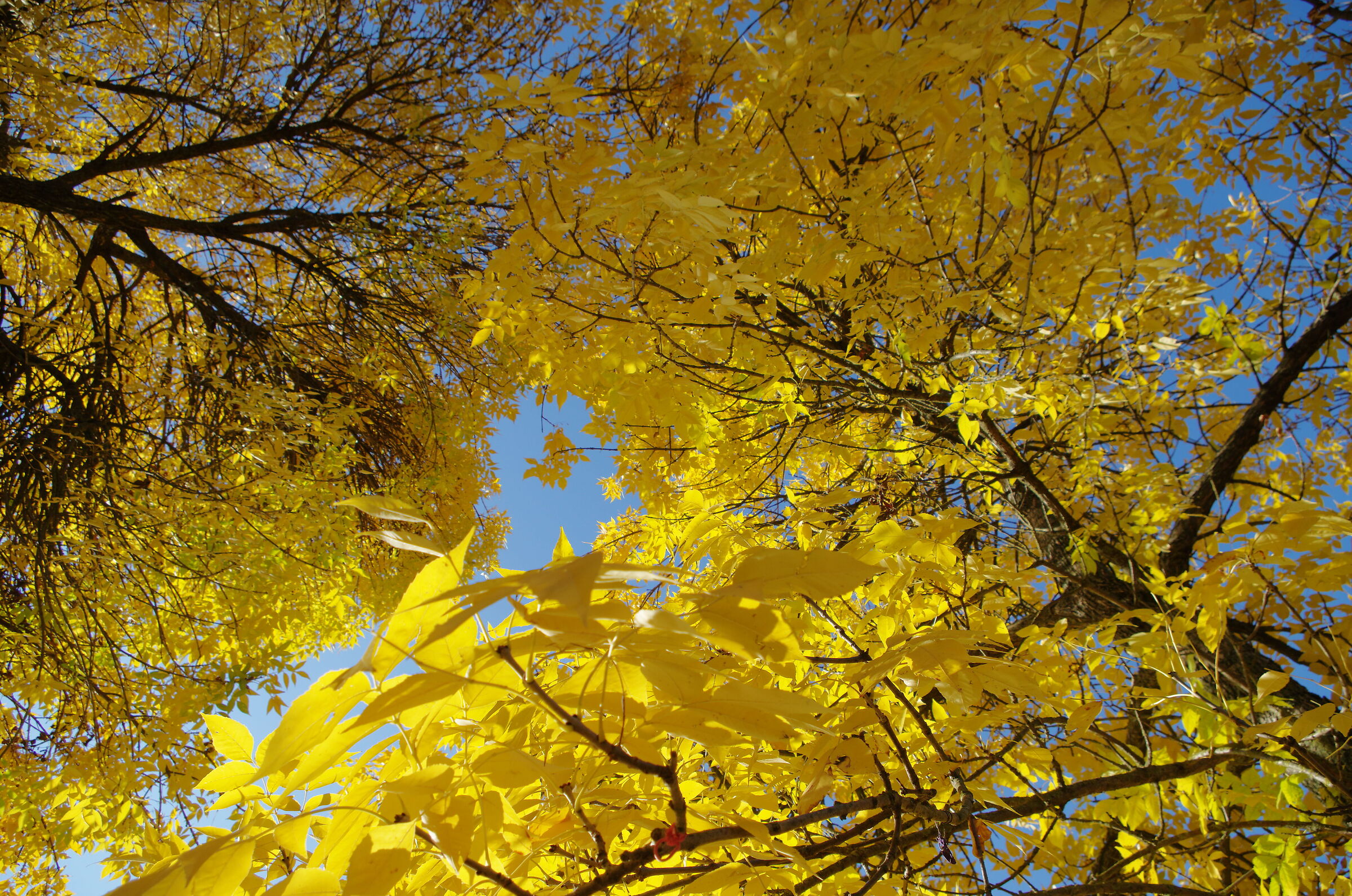 When you feel a little down you get some yellow and blue