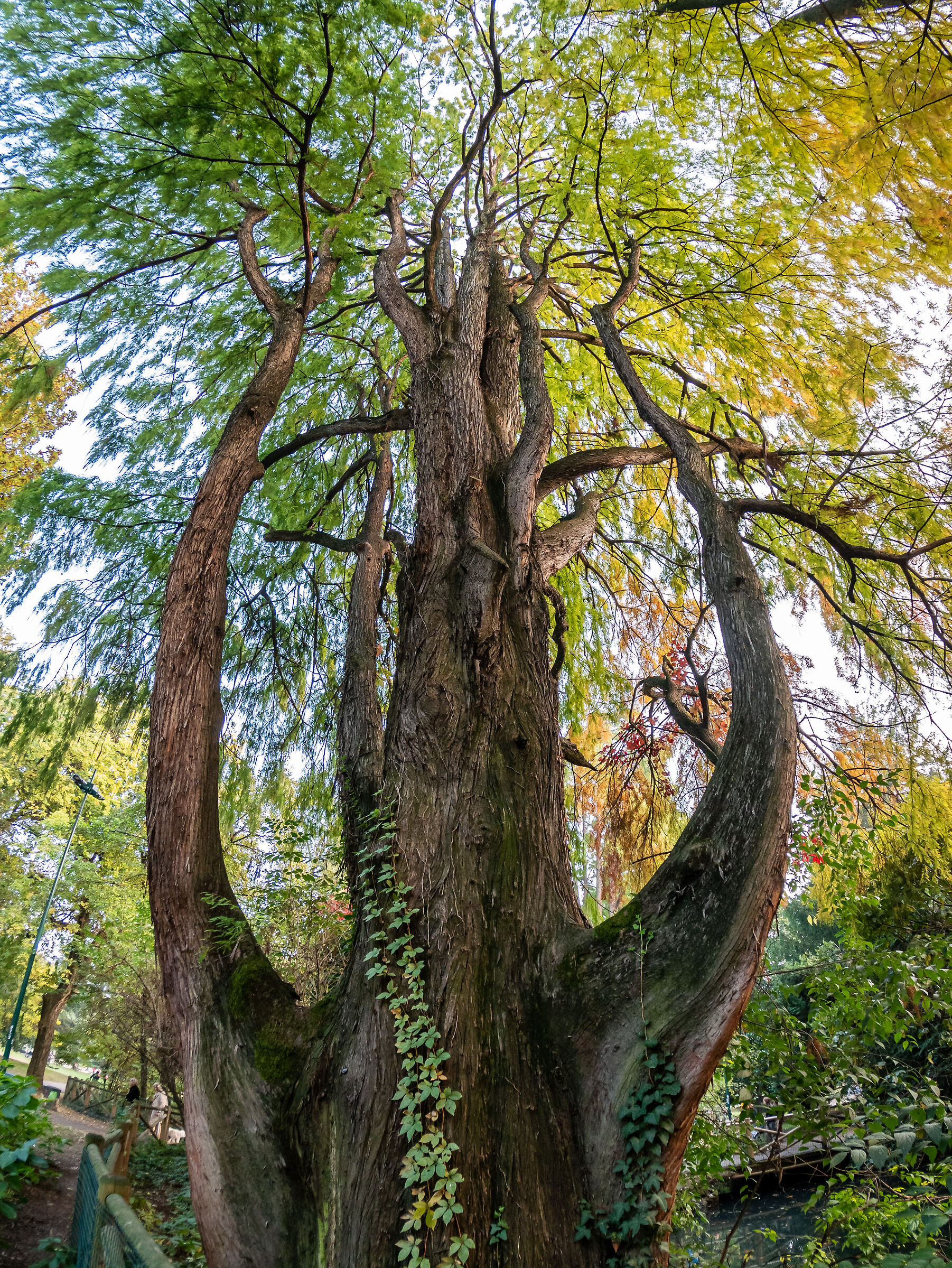Indro Montanelli Gardens