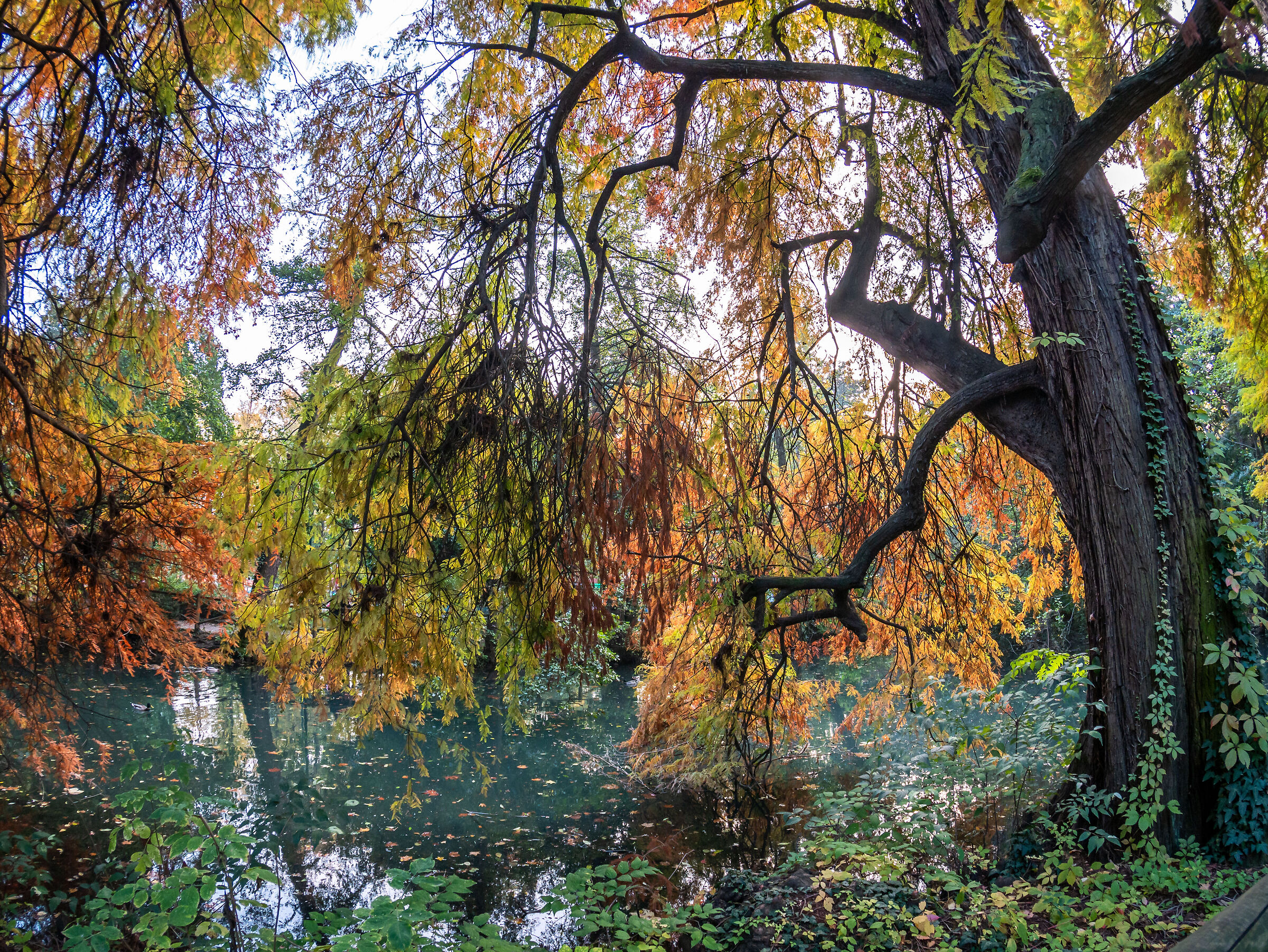 Indro Montanelli Gardens