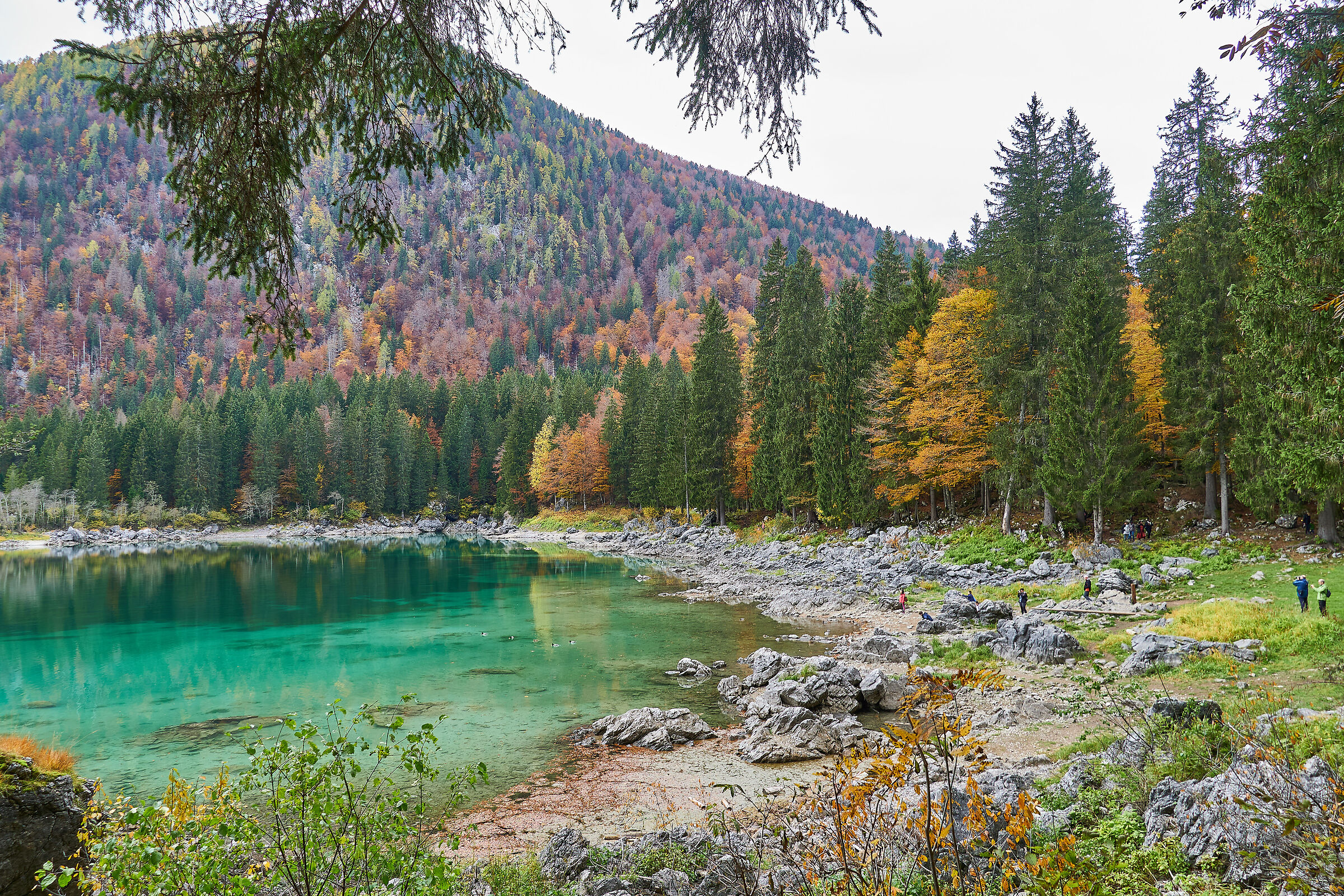 Lago superiore di Fusine