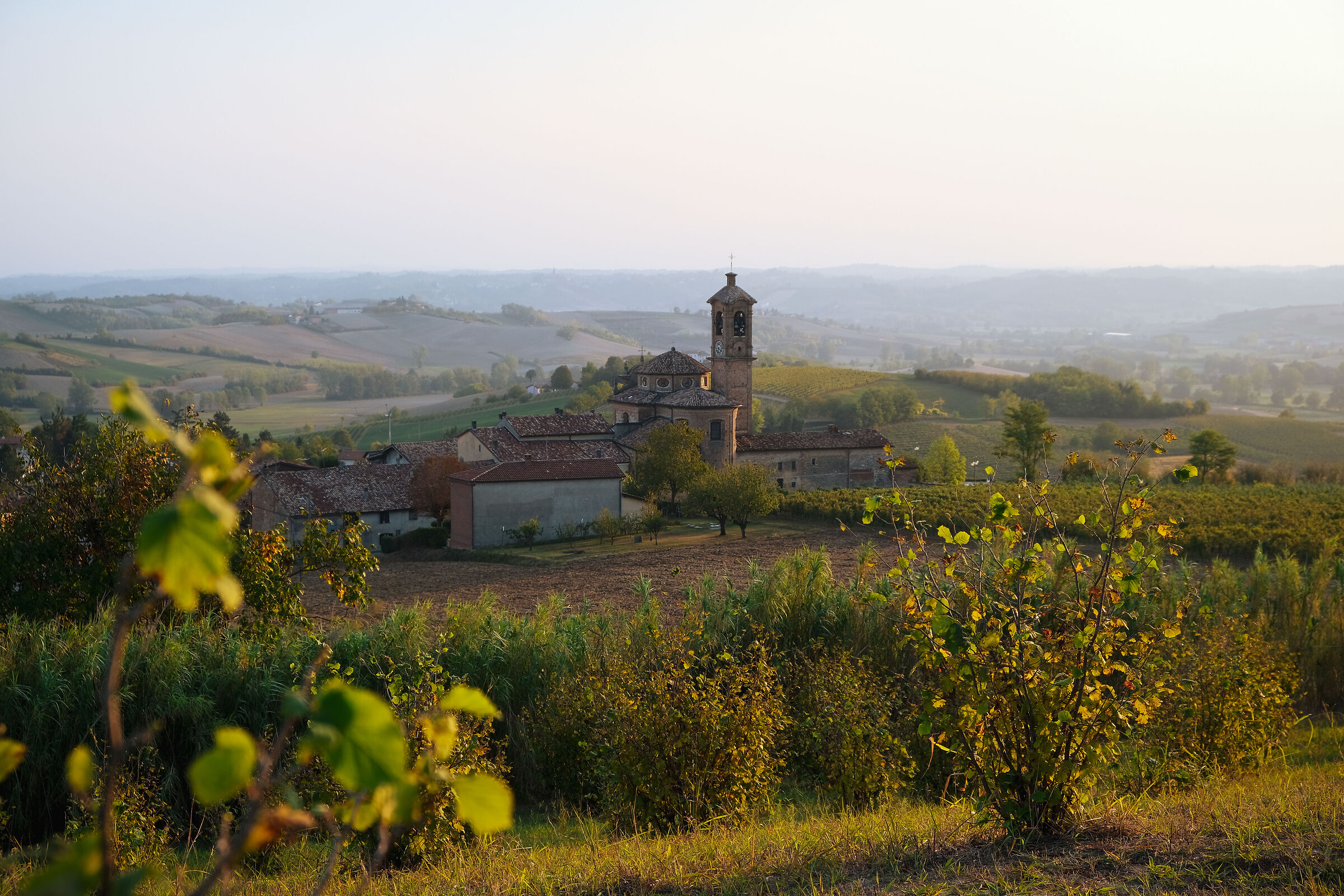 Viewpoint in Moncalvo