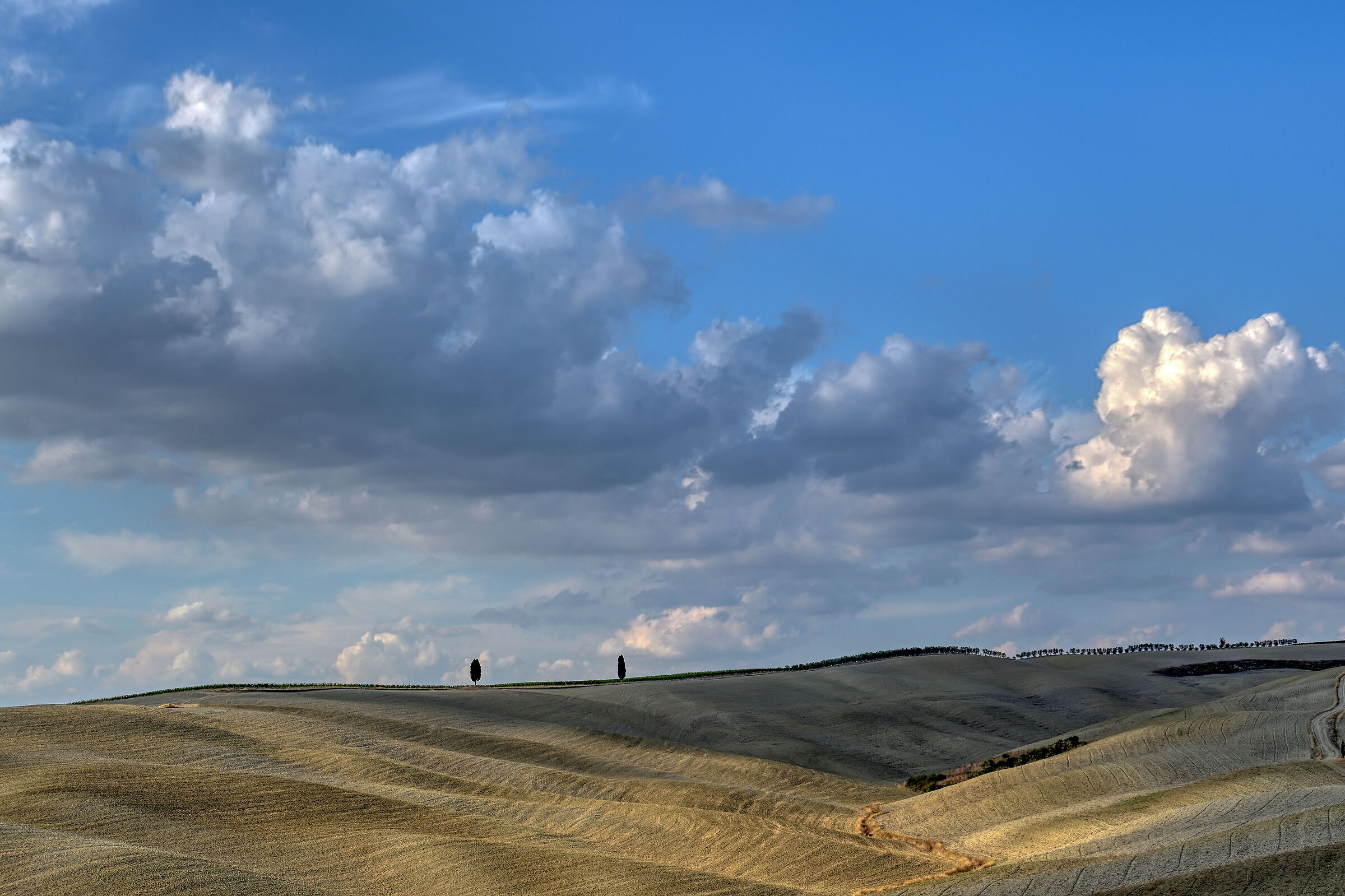 Colline senesi