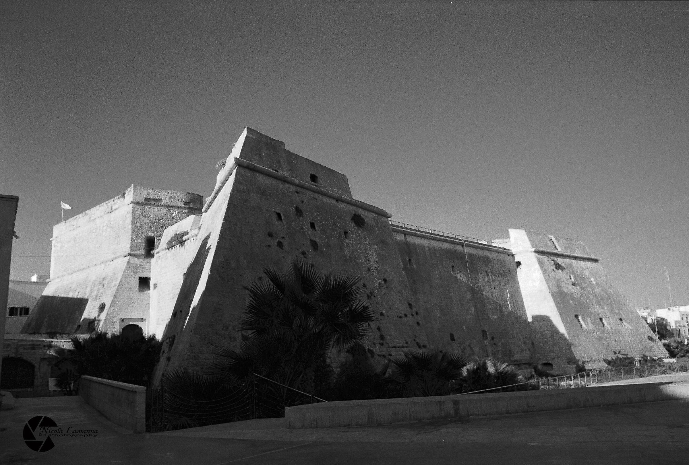 Castle, Ilford Delta 100 Nikon F5