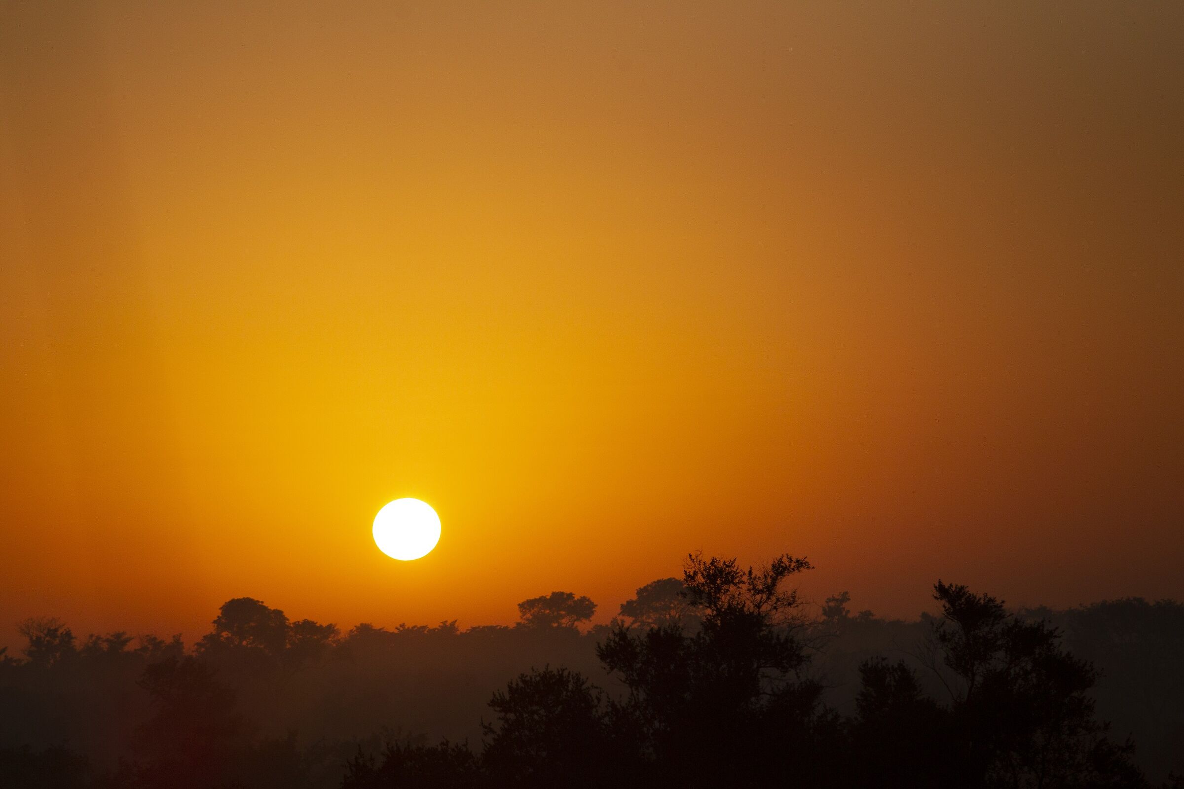 Alba sul bushveld...