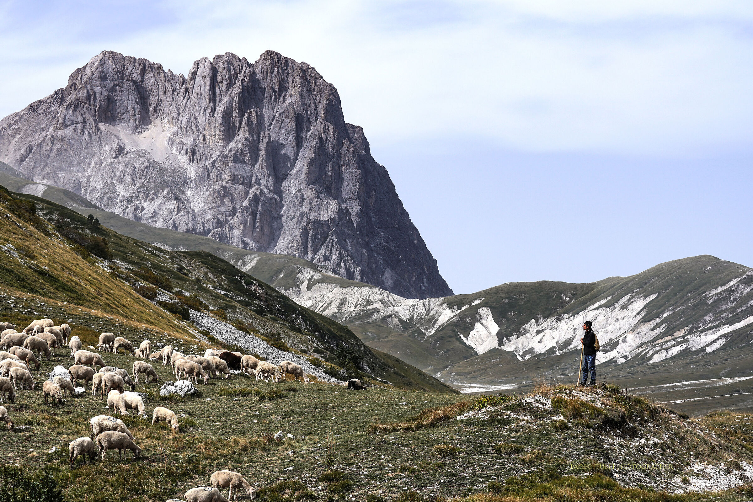Pascoli in alta quota.