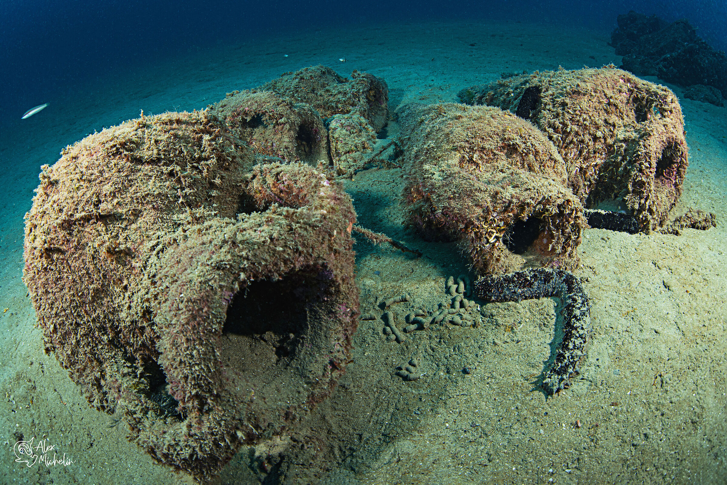 anfore gara estemporanea