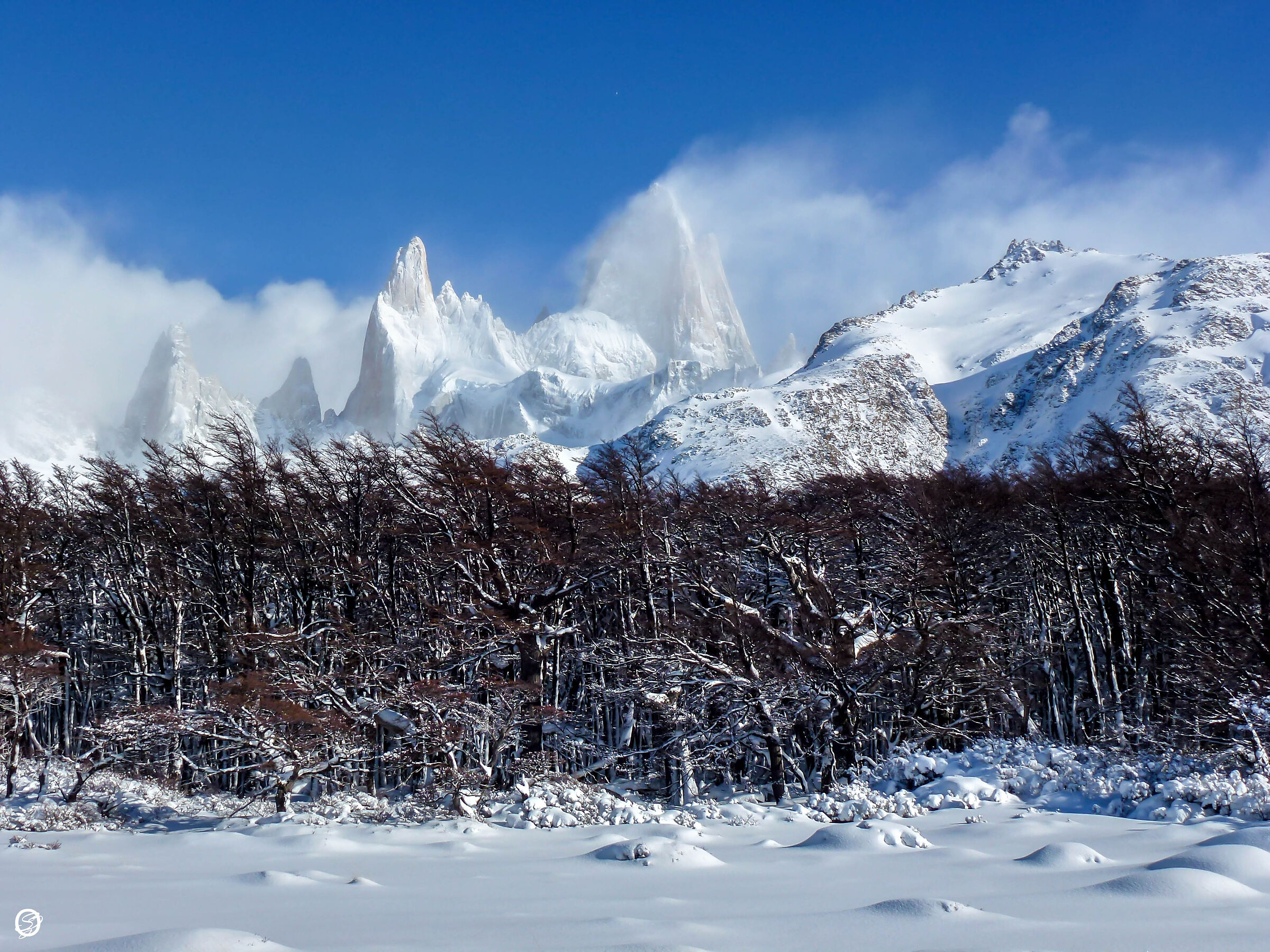 Sotto il Fitzroy- Una giornata da ricordare-Argentina