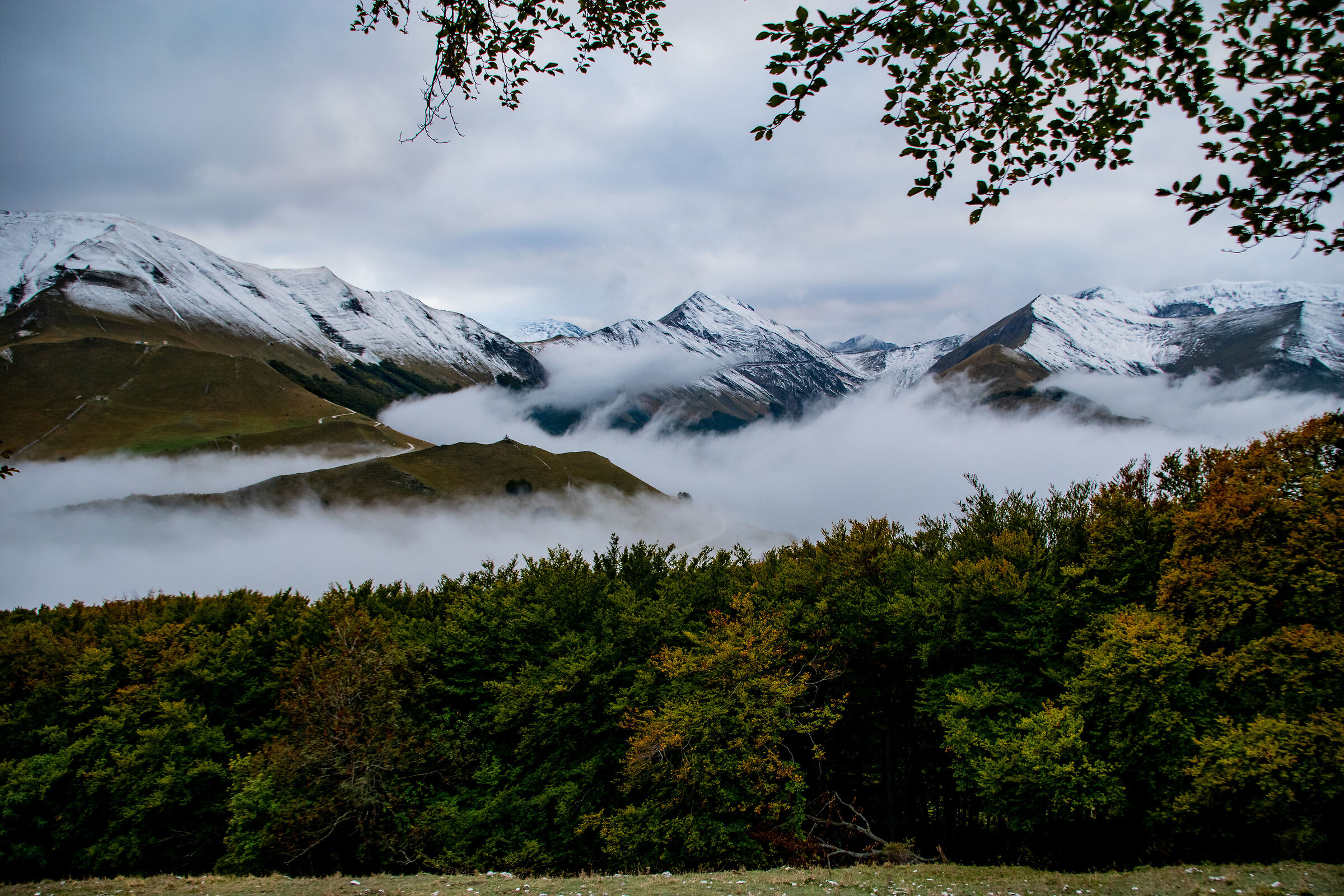 Sibillini (Sibillini)